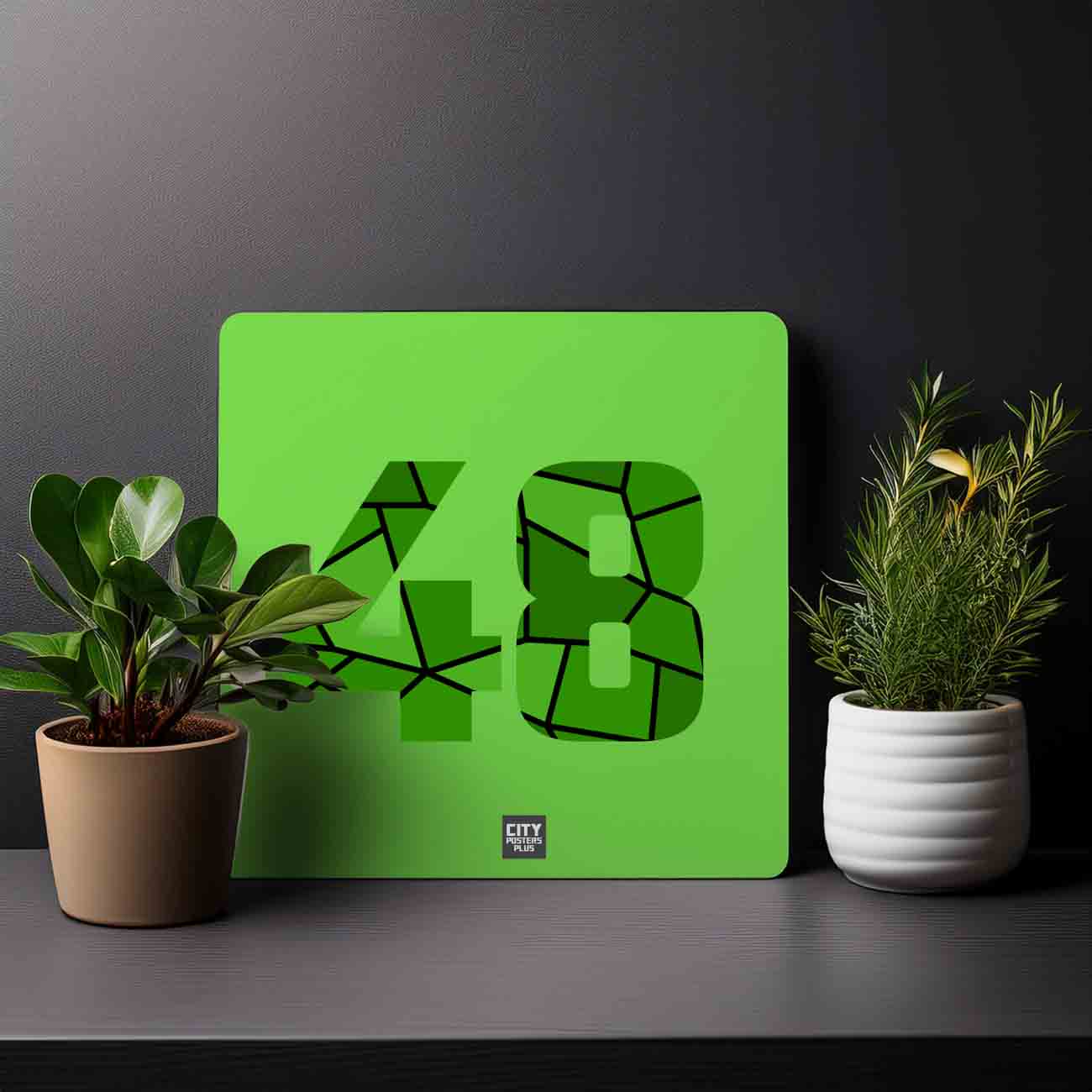 48 Number Mousepad (Liril Green)