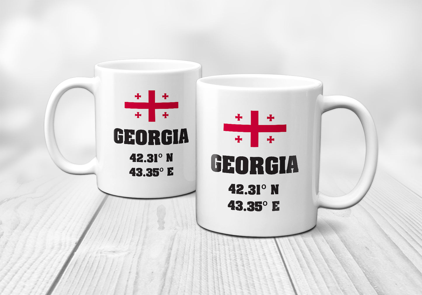 Georgia Laitutude Longitude Mug