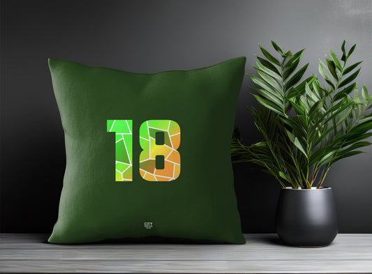 18 Number Pillow Case and Pillow Throw (Olive Green)
