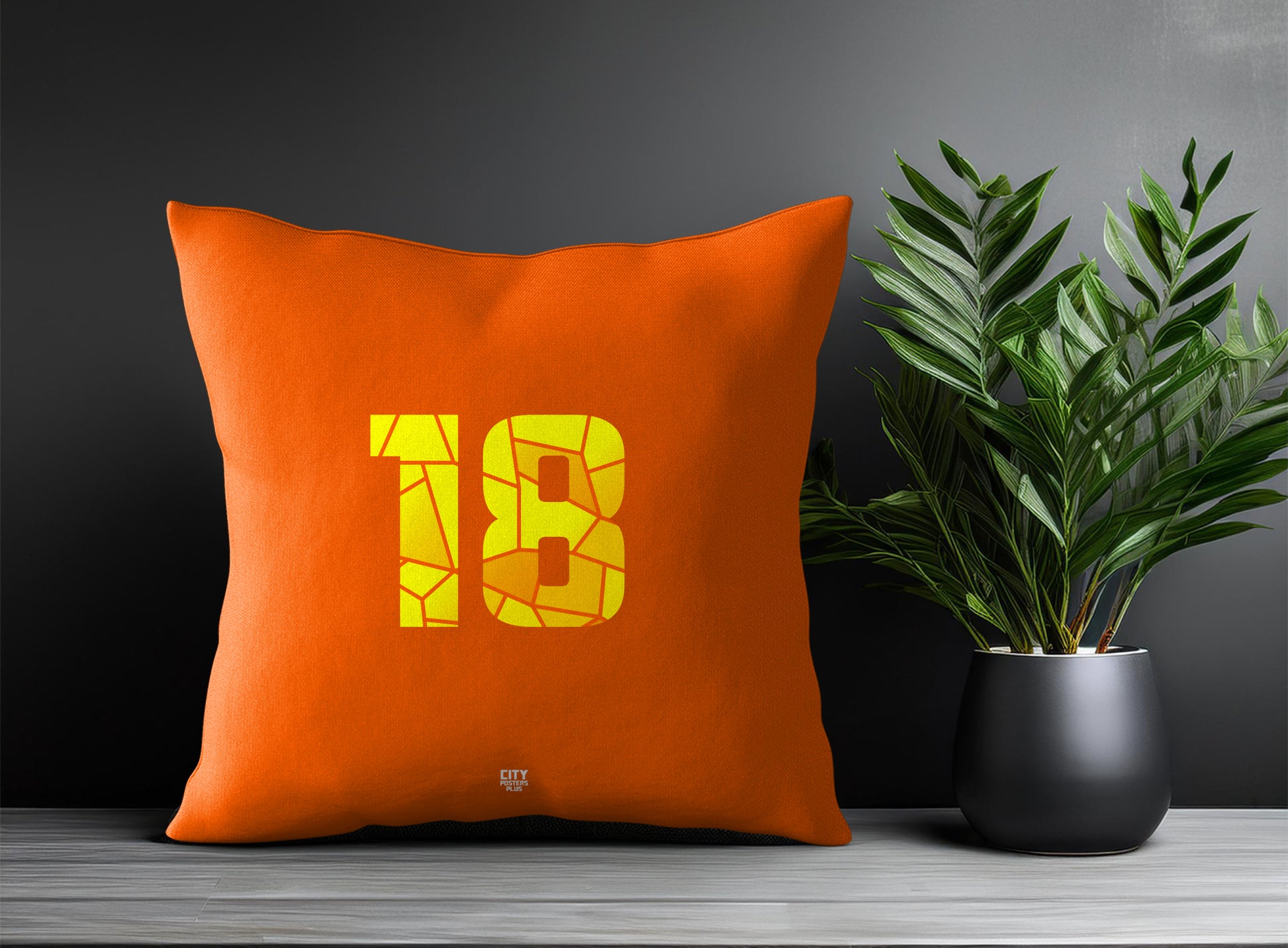 18 Number Pillow Case and Pillow Throw (Orange)