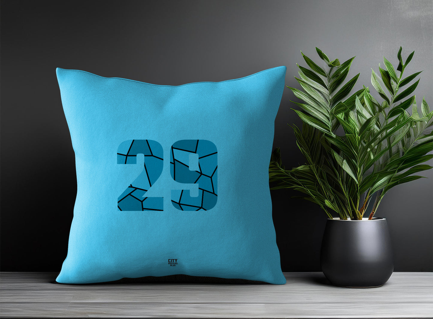29 Number Pillow Case and Pillow Throw (Sky Blue)