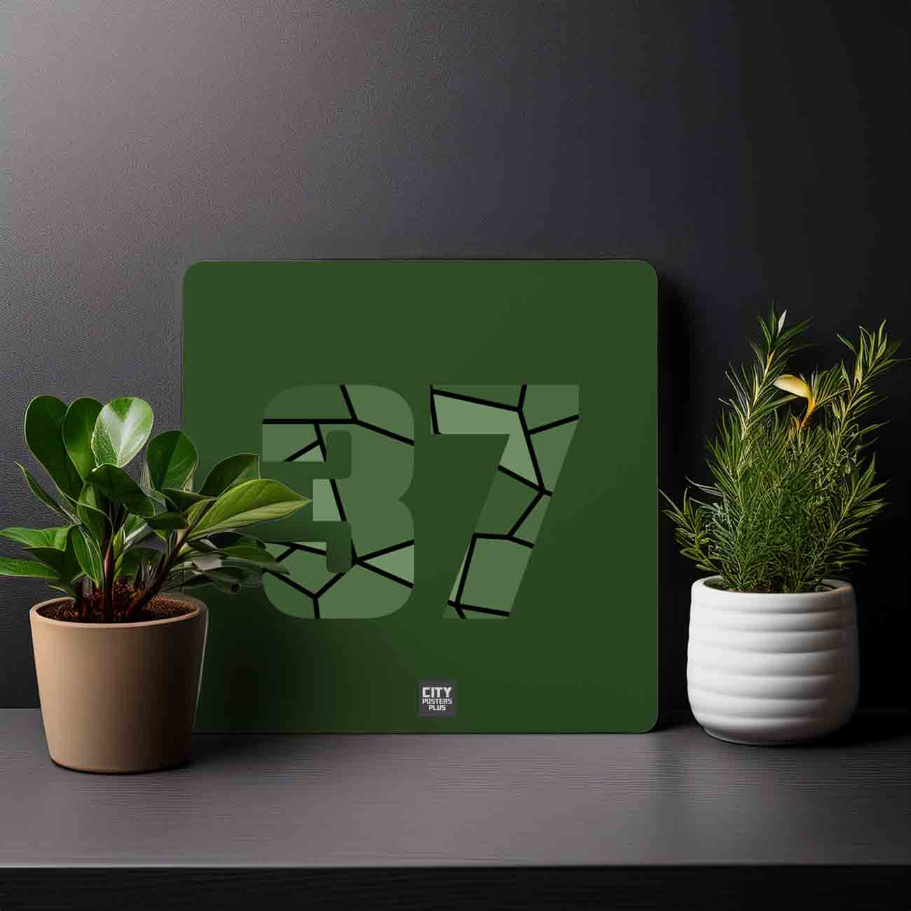 37 Number Mousepad (Olive Green)
