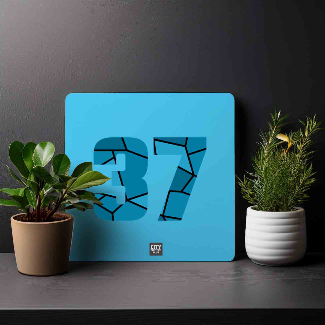 37 Number Mousepad (Sky Blue)
