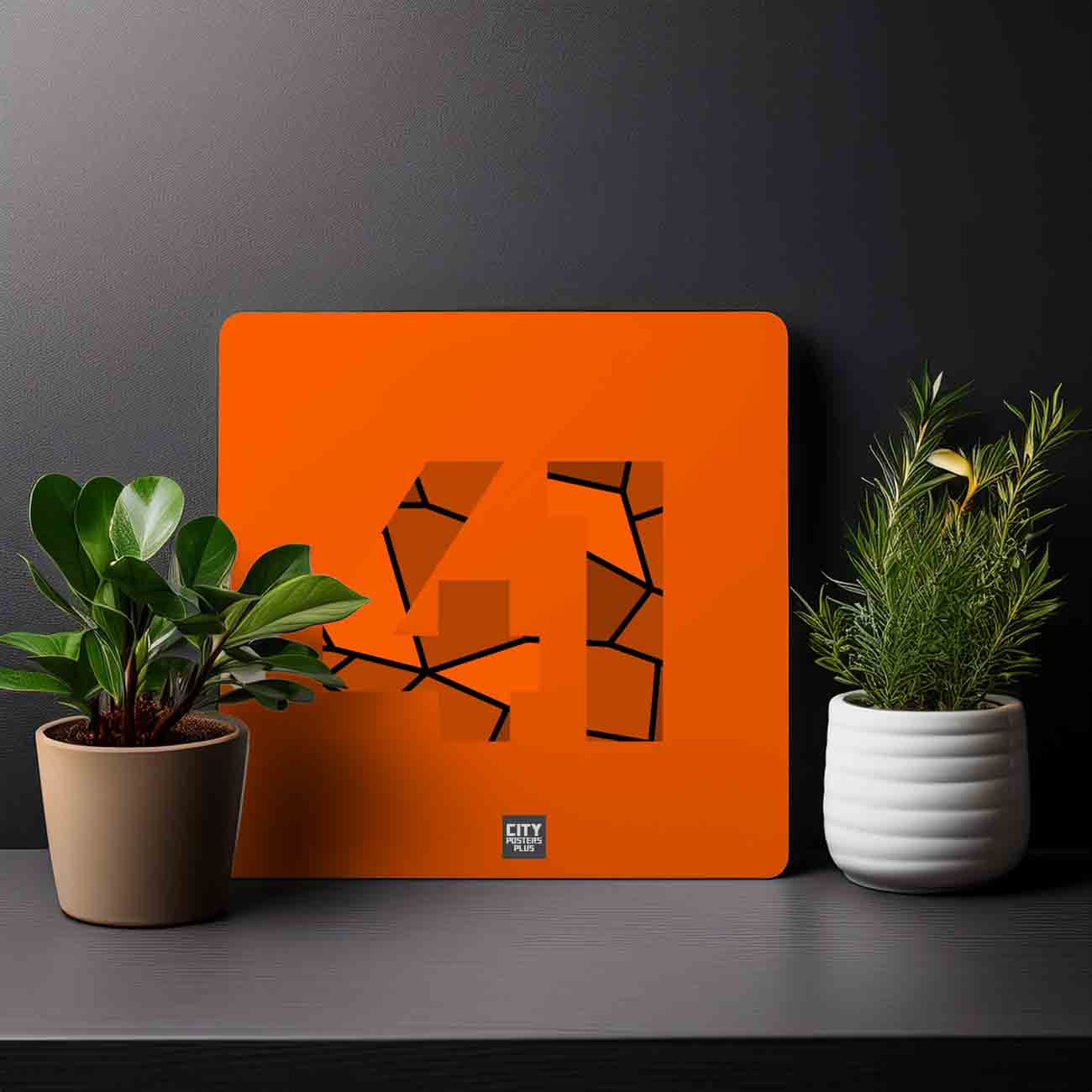 41 Number Mousepad (Orange)