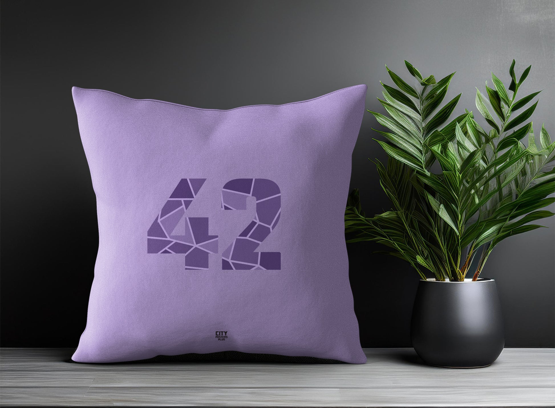 42 Number Pillow Case and Pillow Throw (Iris Lavender)
