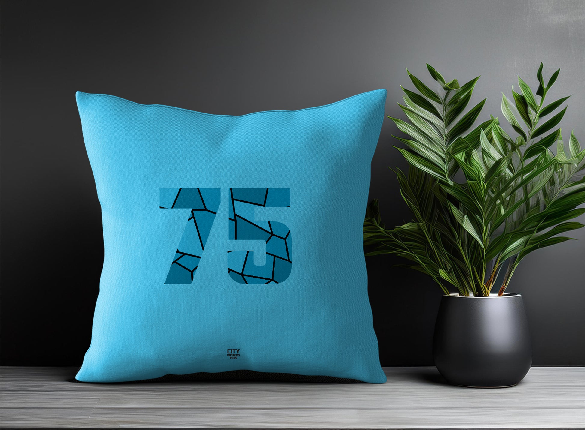 75 Number Pillow Case and Pillow Throw (Sky Blue)
