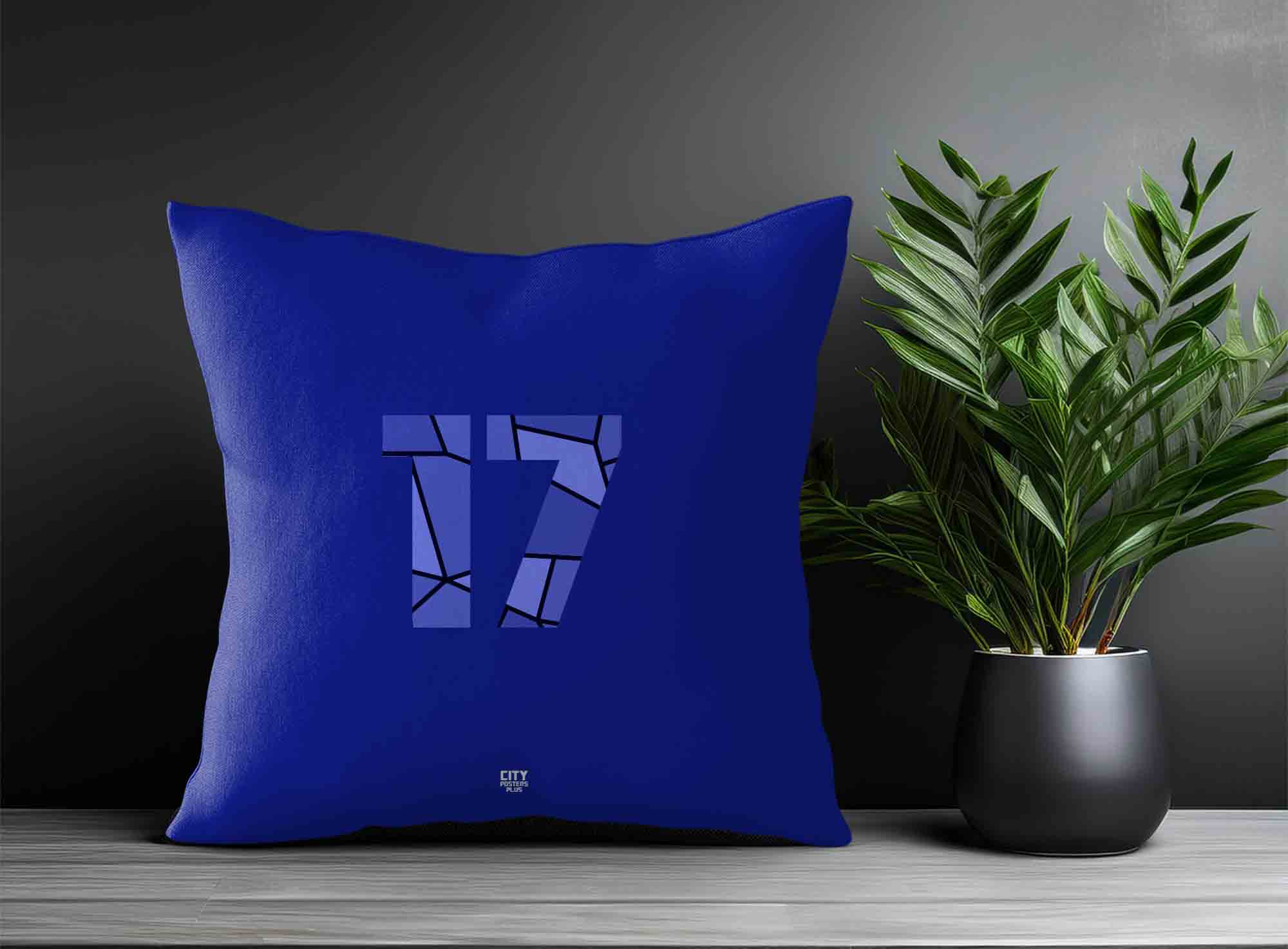 Print Deliver Plus 17 Number Square & Rectangle Pillow Cases