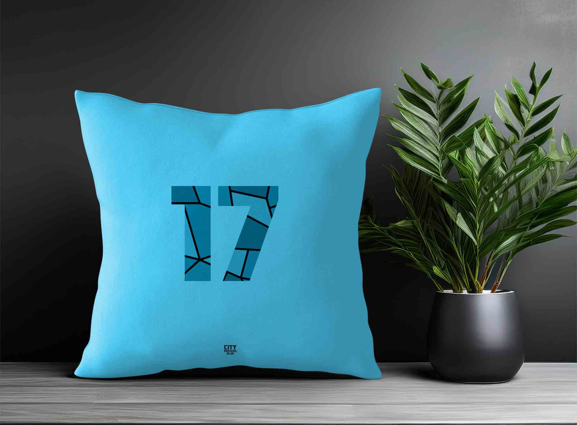 Print Deliver Plus 17 Number Square & Rectangle Pillow Cases