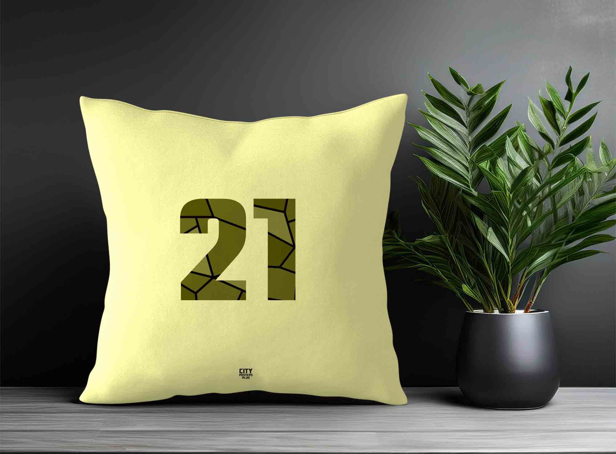 Print Deliver Plus 21 Number Square & Rectangle Pillow Cases