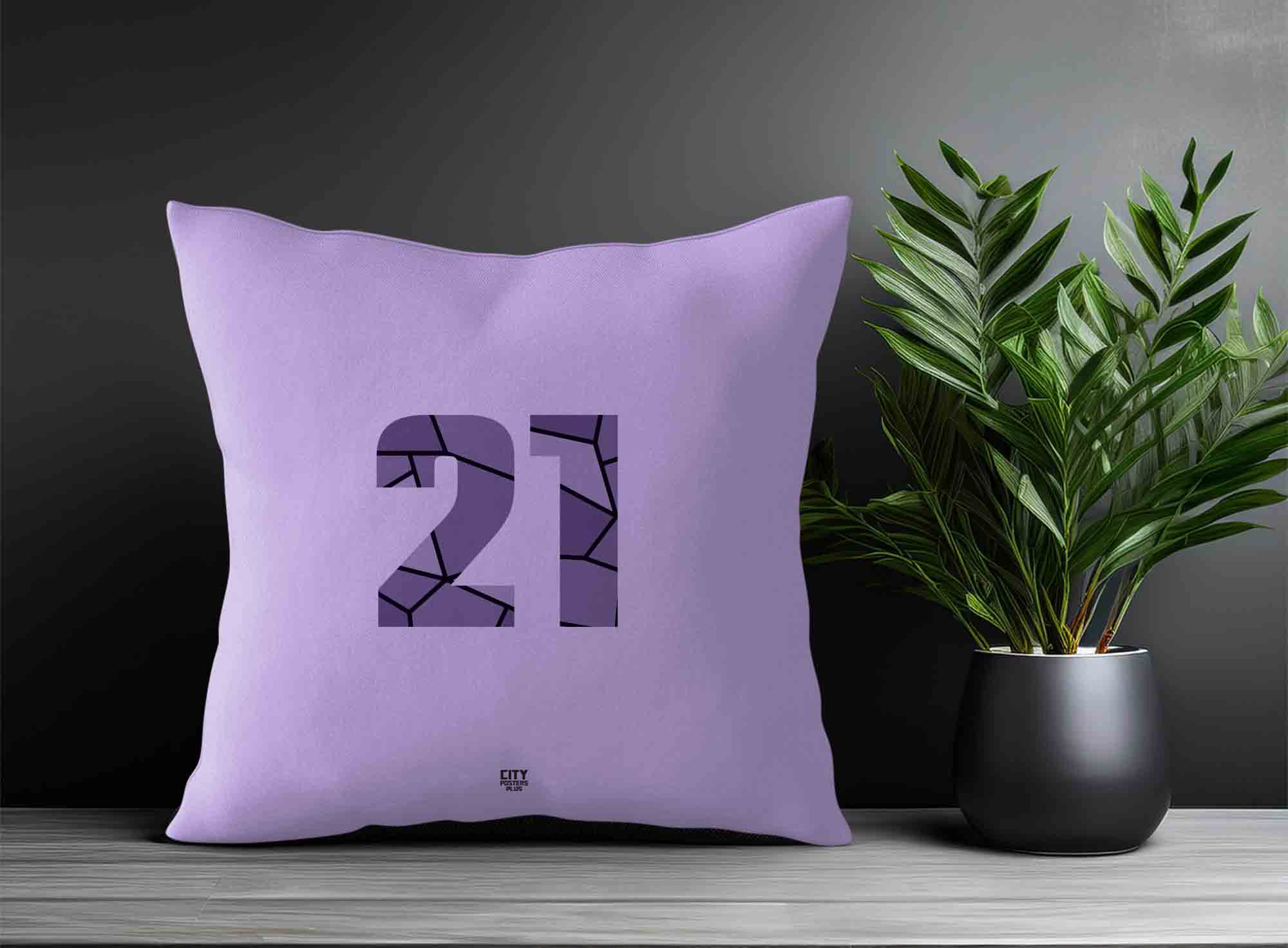 Print Deliver Plus 21 Number Square & Rectangle Pillow Cases