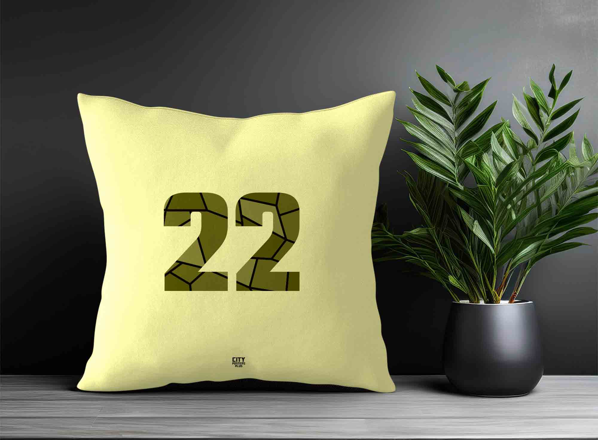 Print Deliver Plus 22 Number Square & Rectangle Pillow Cases