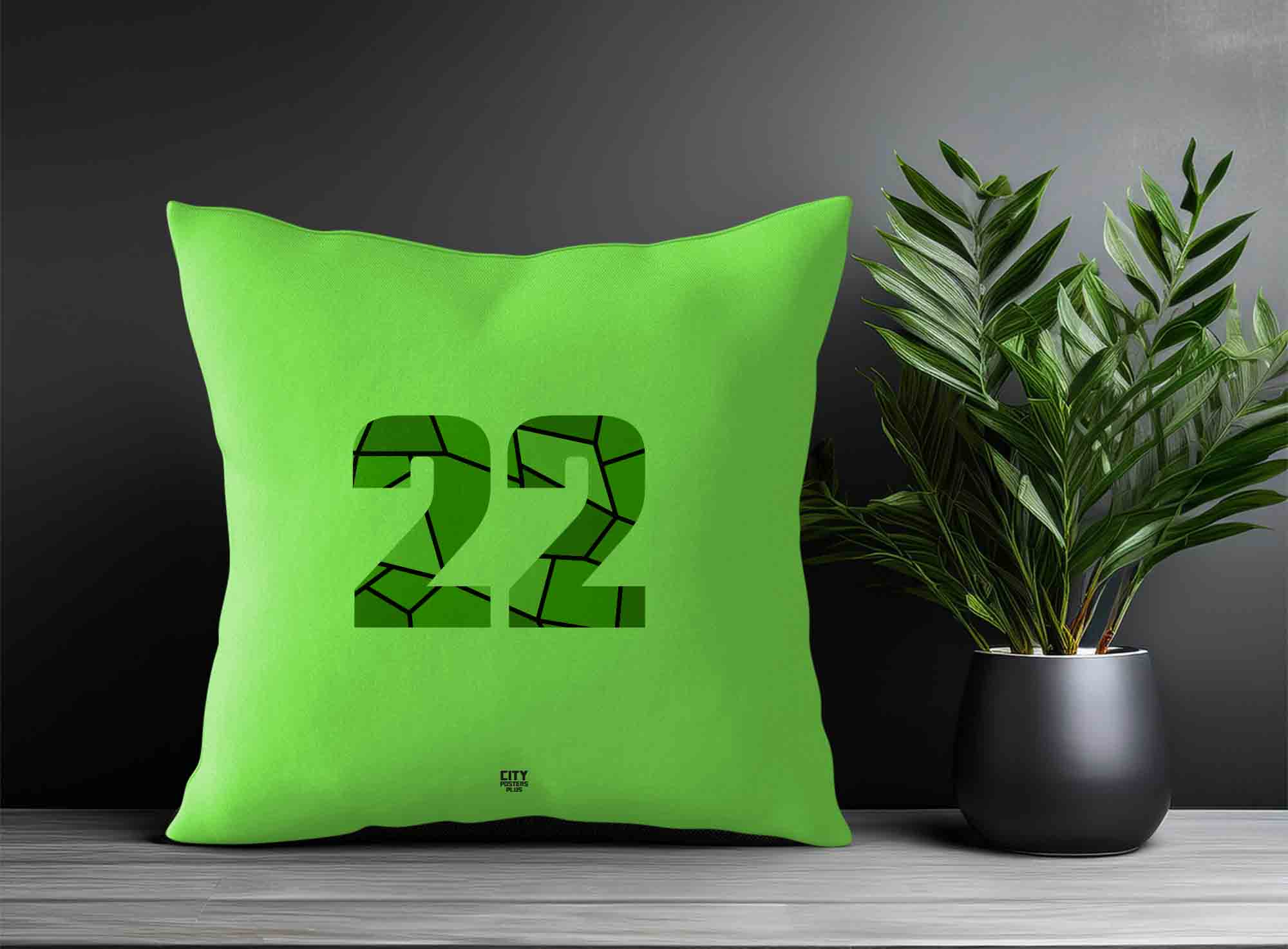 Print Deliver Plus 22 Number Square & Rectangle Pillow Cases