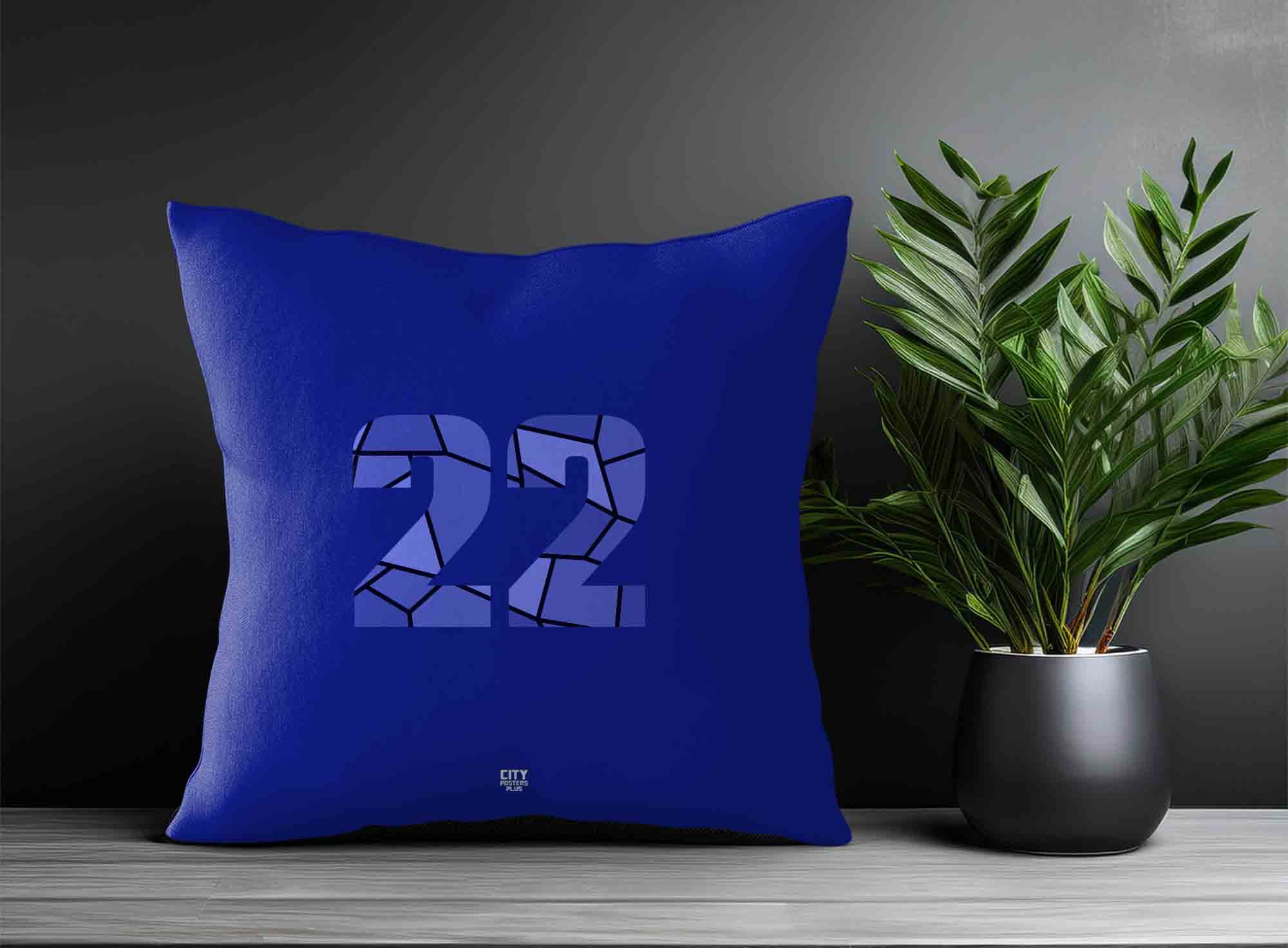 Print Deliver Plus 22 Number Square & Rectangle Pillow Cases