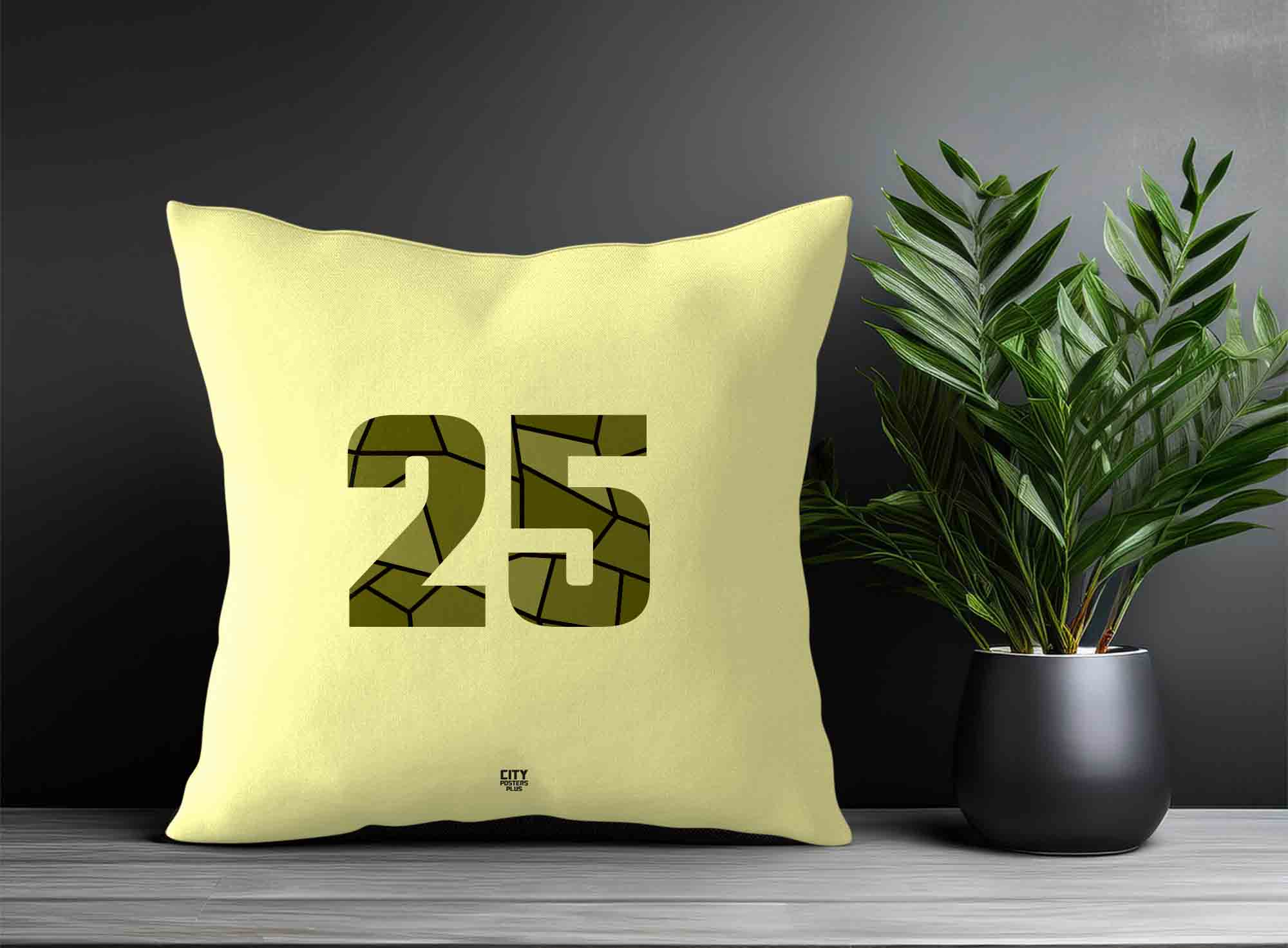 Print Deliver Plus 25 Number Square & Rectangle Pillow Cases