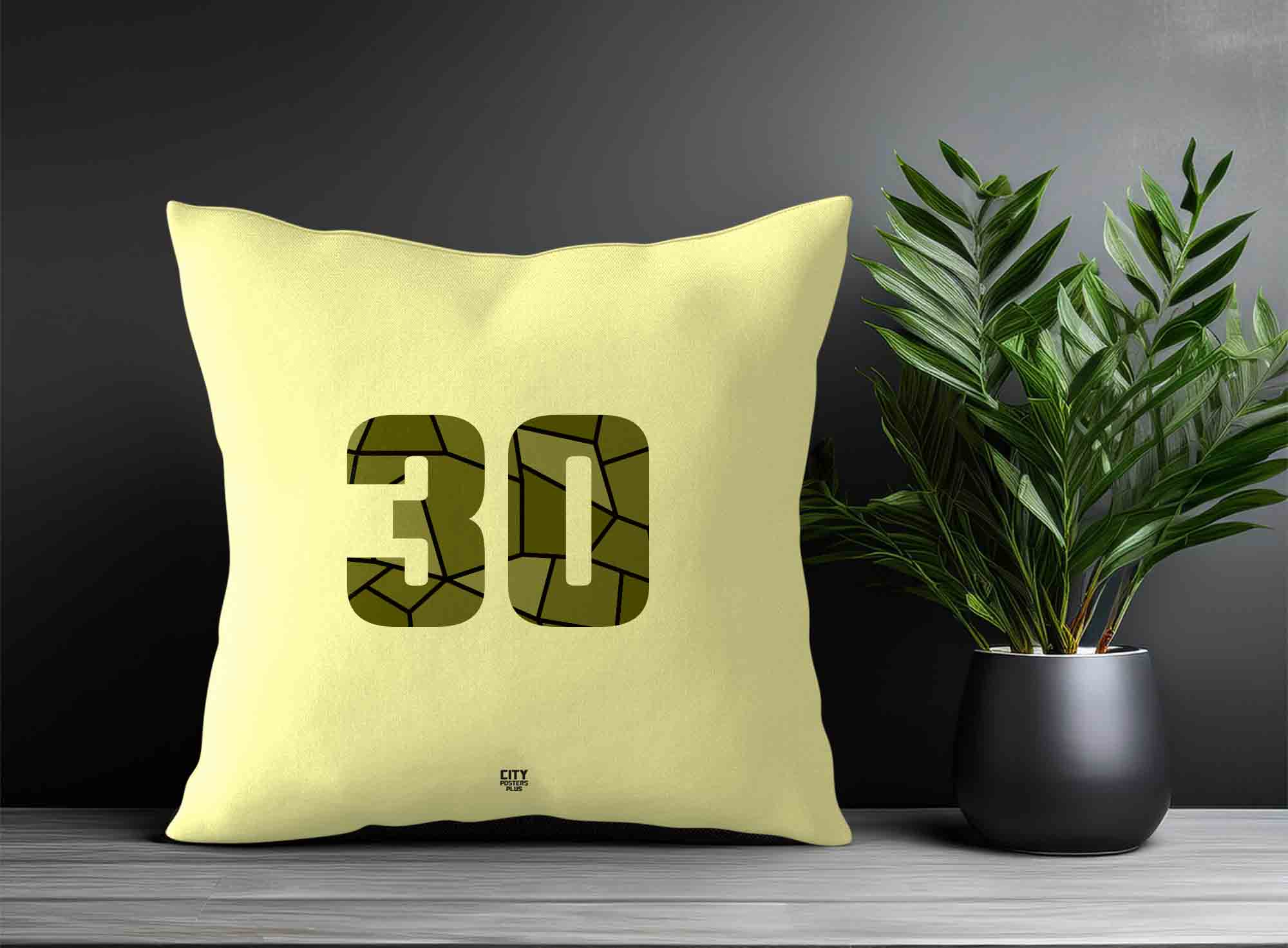 Print Deliver Plus 30 Number Square & Rectangle Pillow Cases