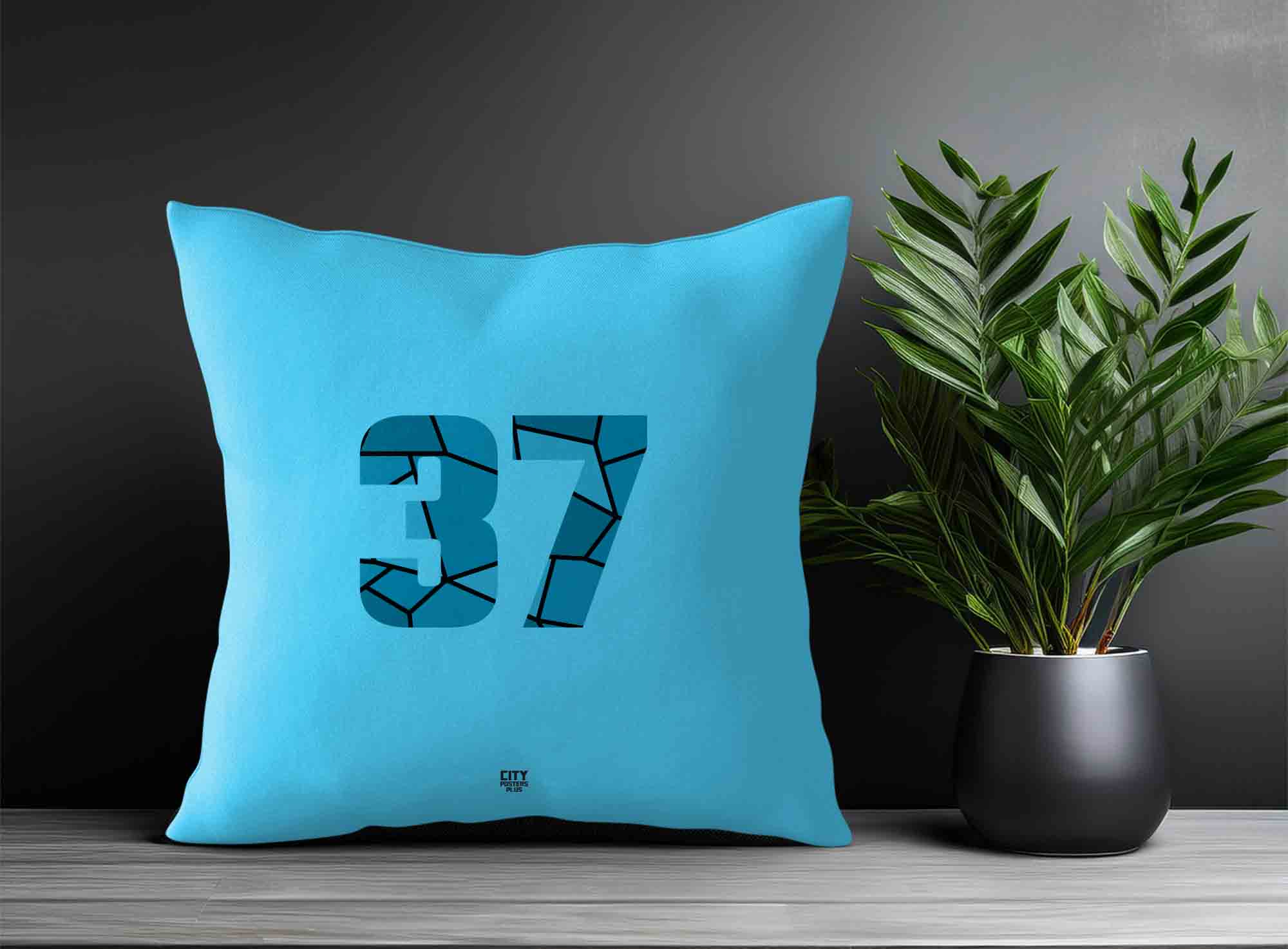 Print Deliver Plus 37 Number Square & Rectangle Pillow Cases