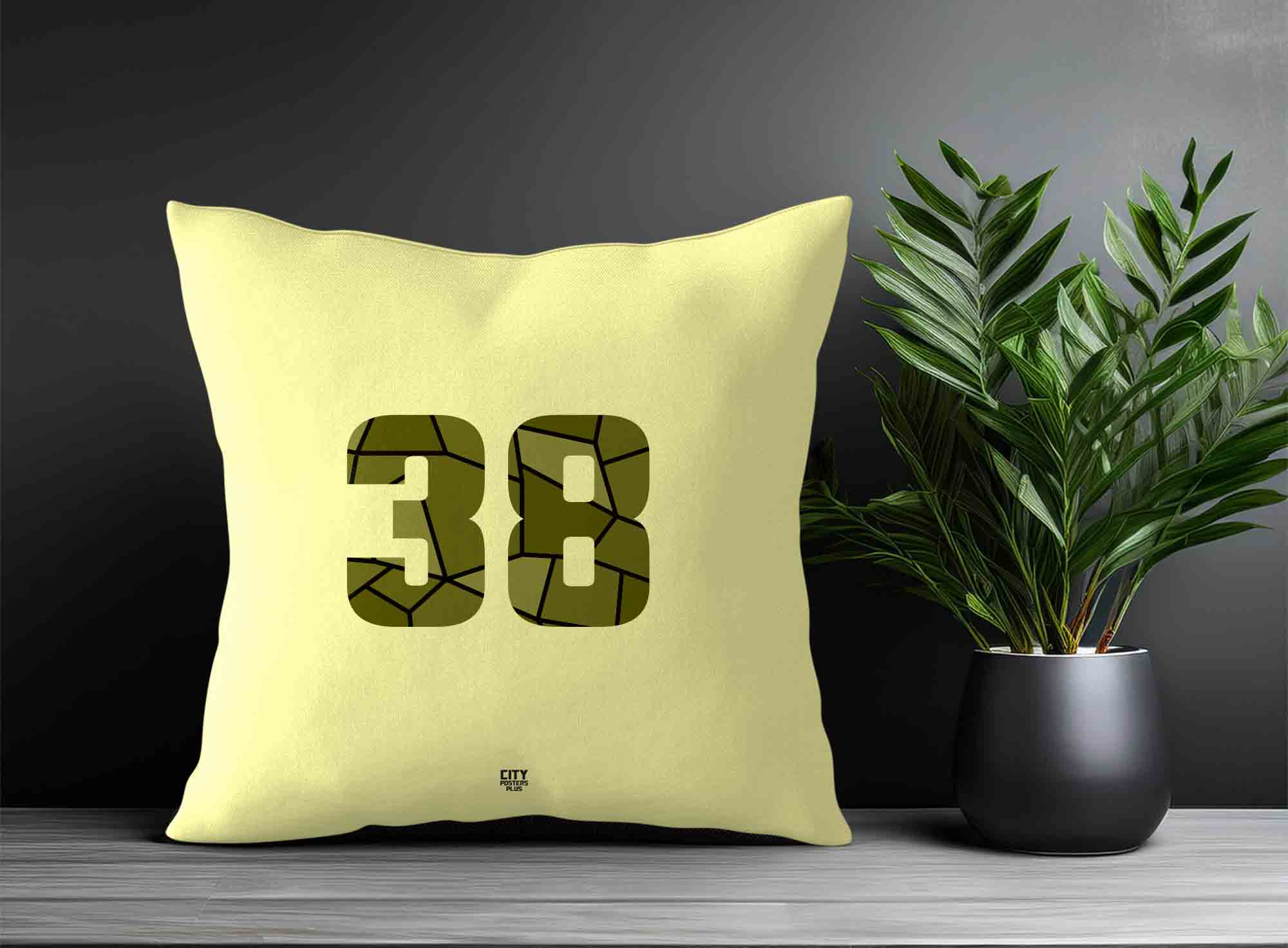 Print Deliver Plus 38 Number Square & Rectangle Pillow Cases