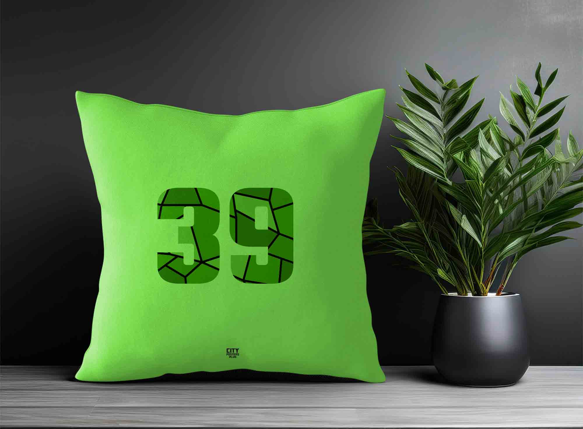 Print Deliver Plus 39 Number Square & Rectangle Pillow Cases