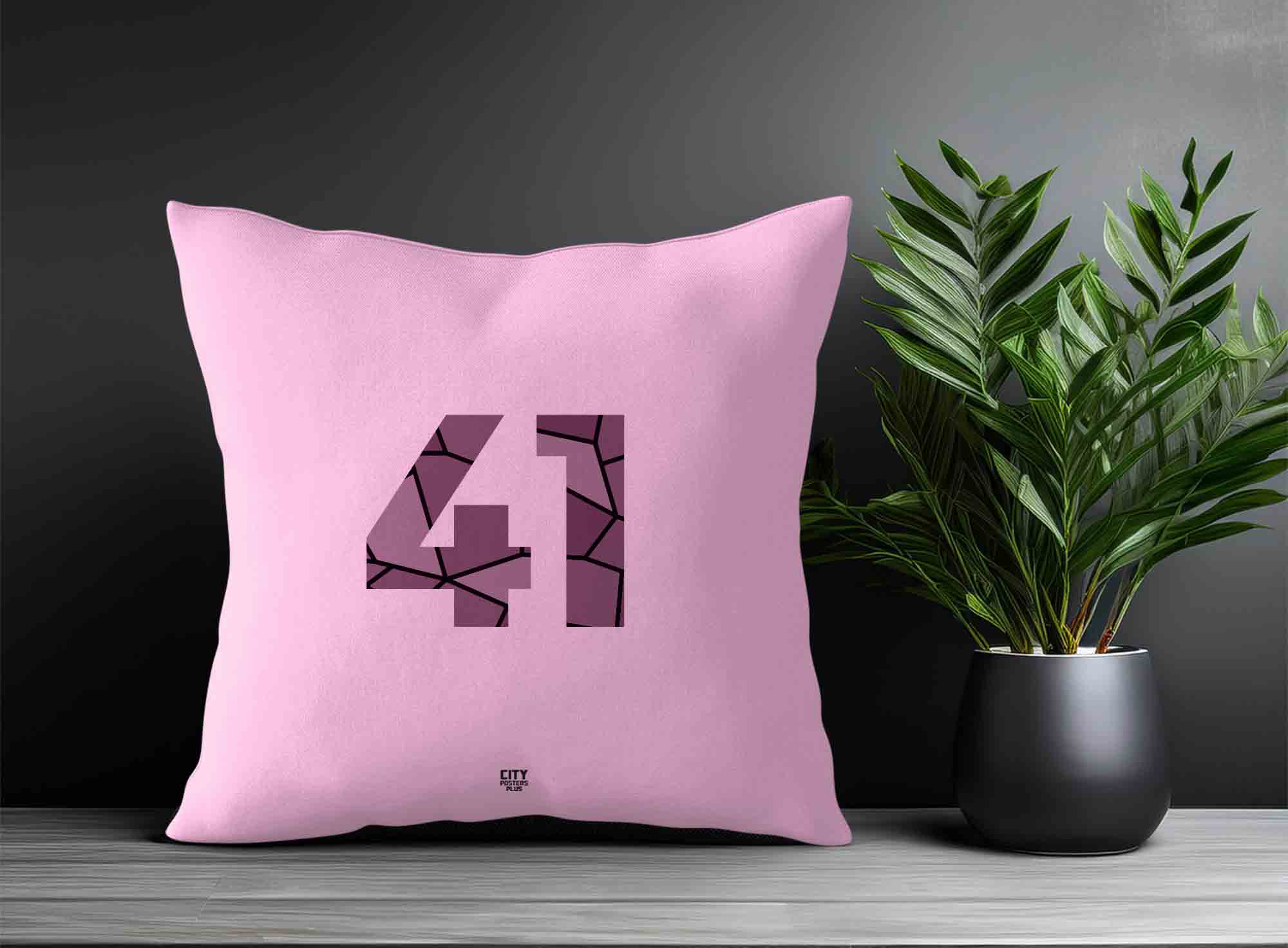 Print Deliver Plus 41 Number Square & Rectangle Pillow Cases
