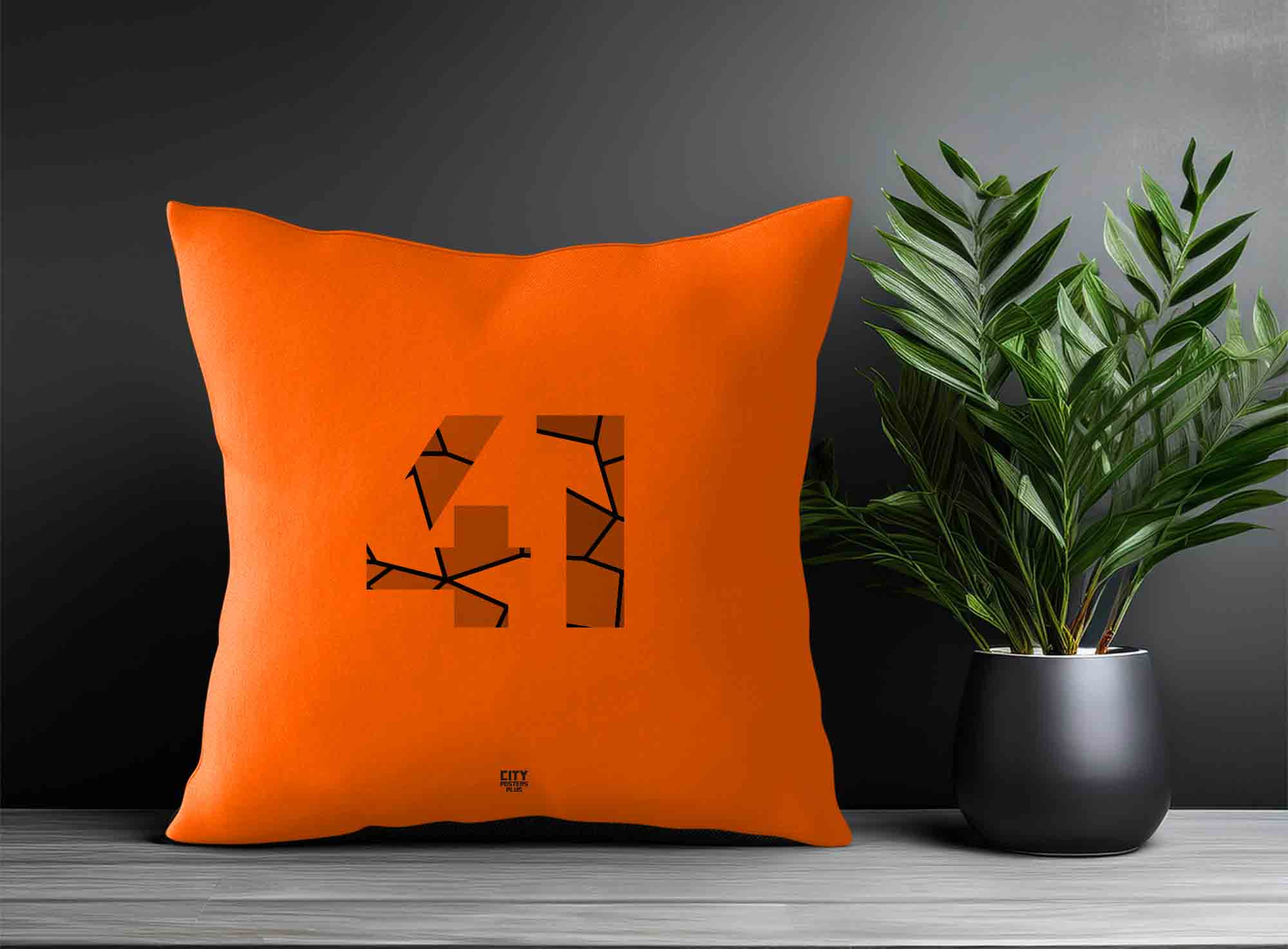 Print Deliver Plus 41 Number Square & Rectangle Pillow Cases