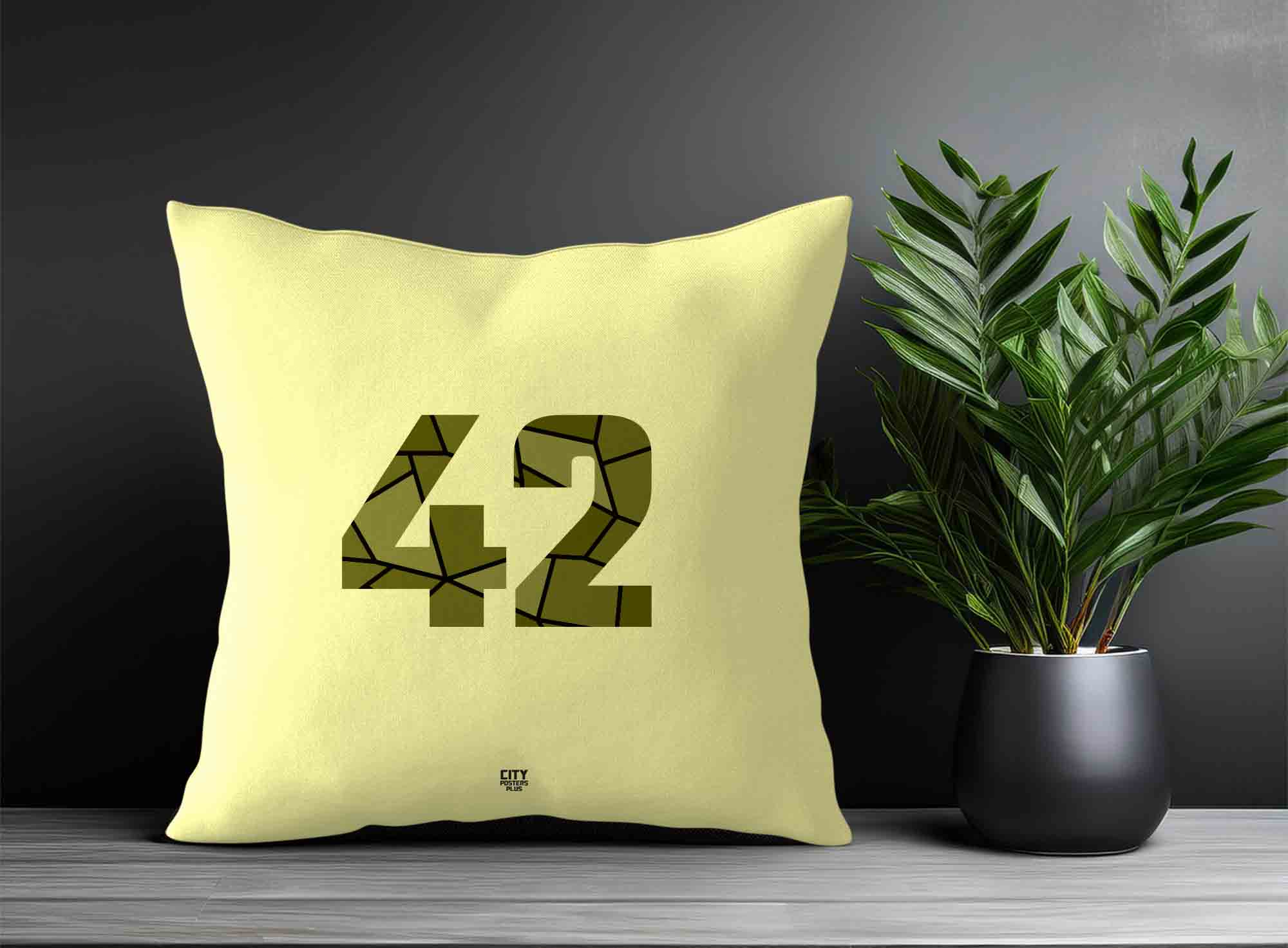 Print Deliver Plus 42 Number Square & Rectangle Pillow Cases