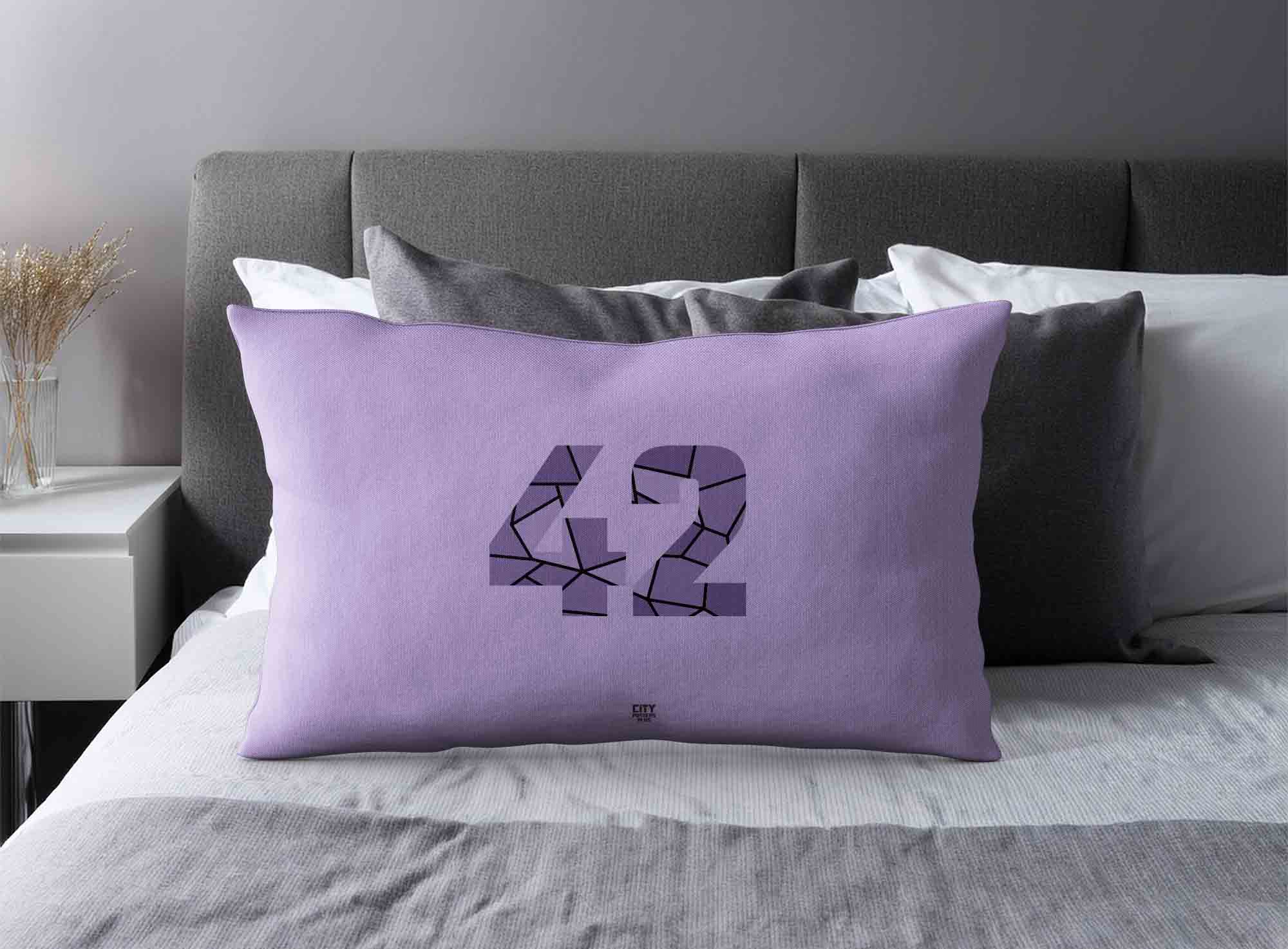Print Deliver Plus 42 Number Square & Rectangle Pillow Cases image 2