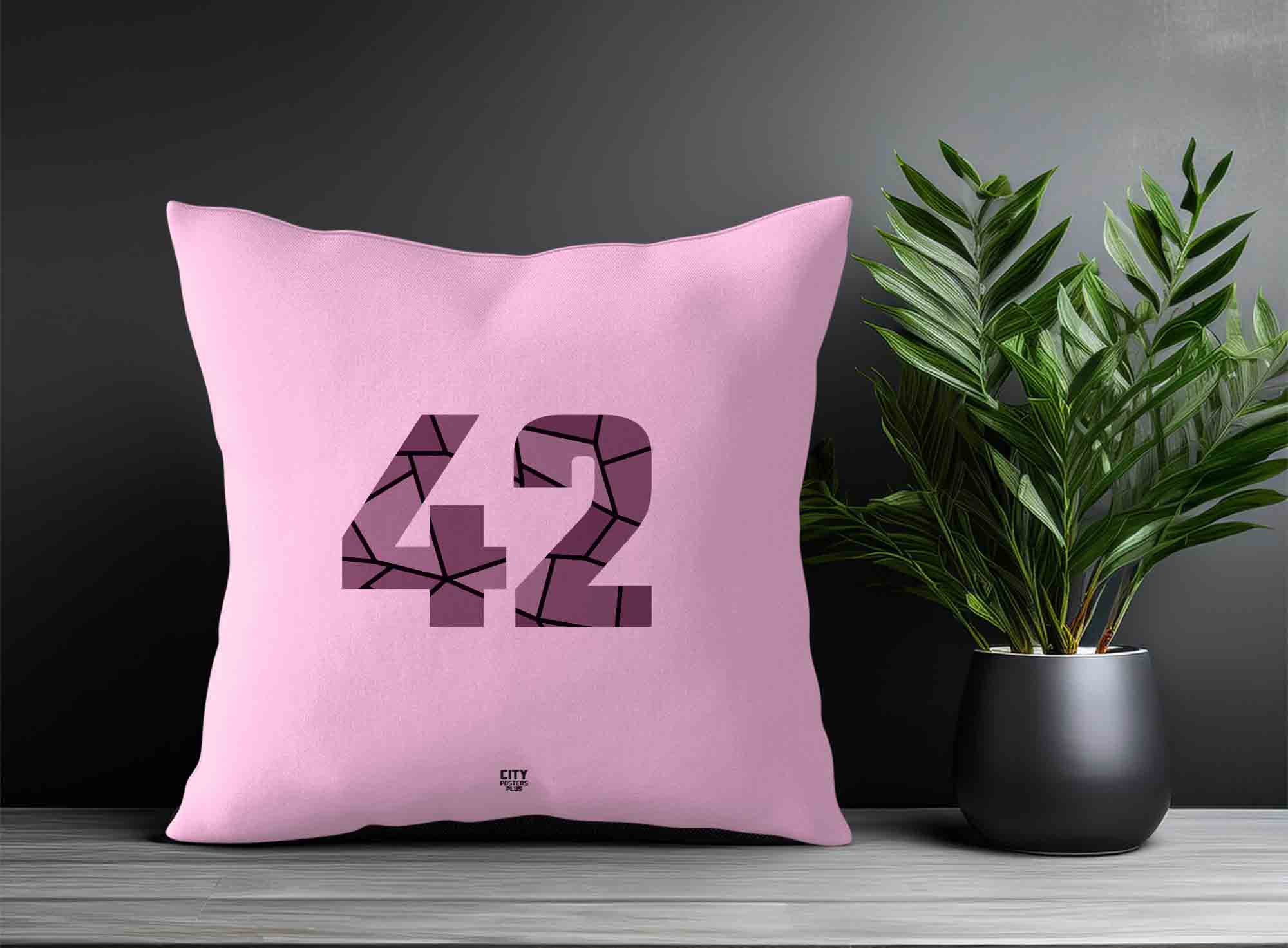 Print Deliver Plus 42 Number Square & Rectangle Pillow Cases