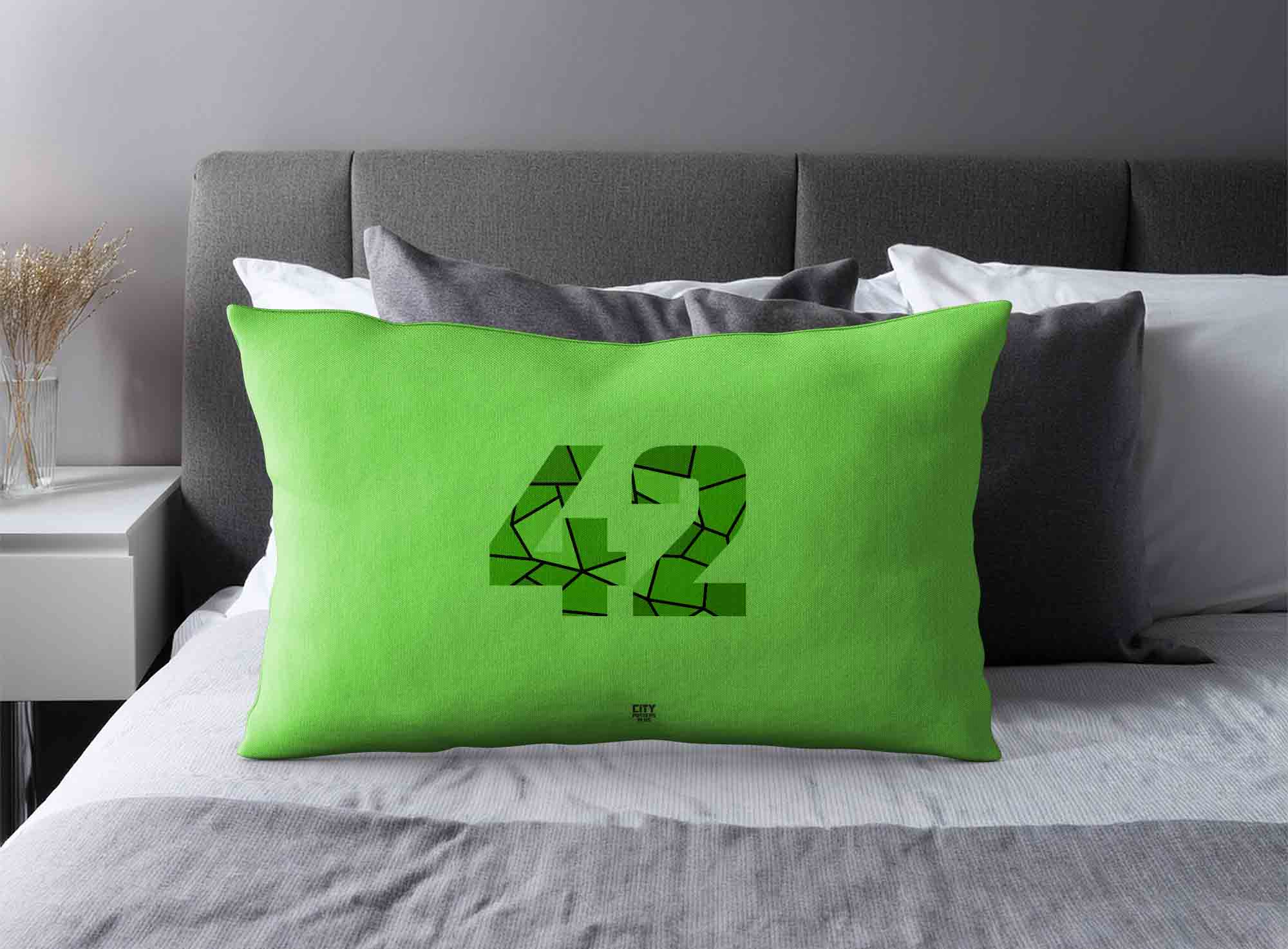 Print Deliver Plus 42 Number Square & Rectangle Pillow Cases image 2