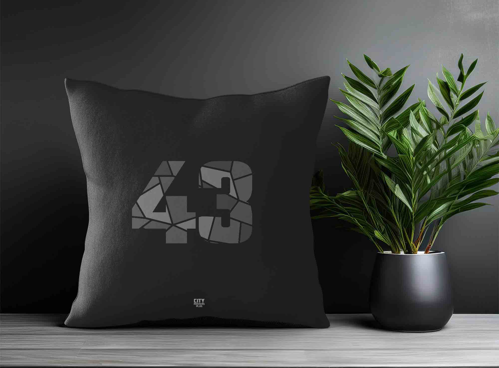 Print Deliver Plus 43 Number Square & Rectangle Pillow Cases