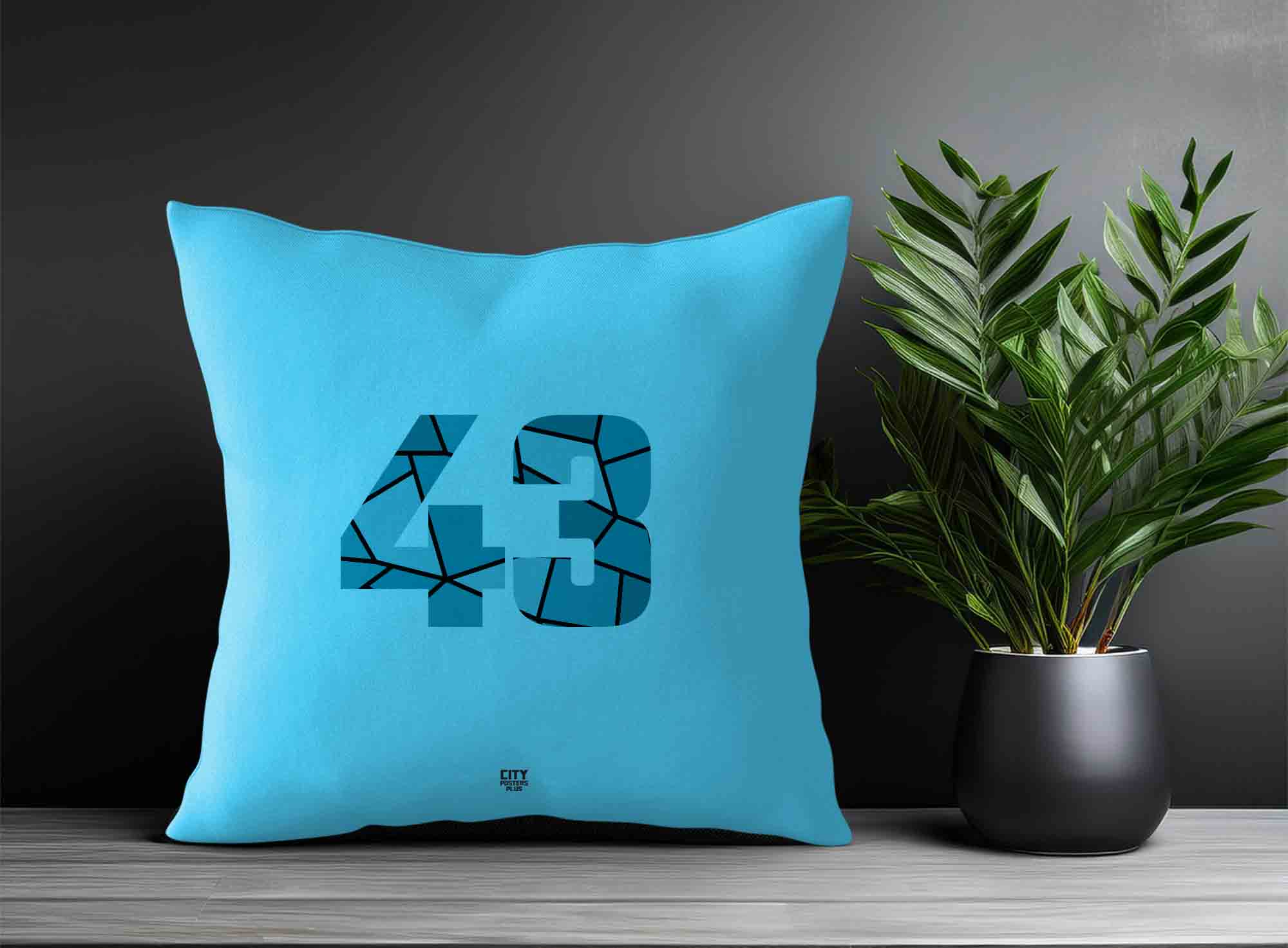 Print Deliver Plus 43 Number Square & Rectangle Pillow Cases