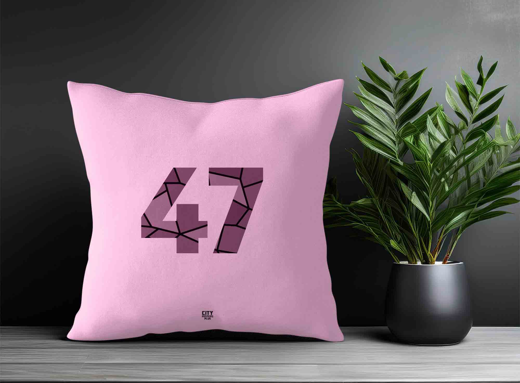 Print Deliver Plus 47 Number Square & Rectangle Pillow Cases