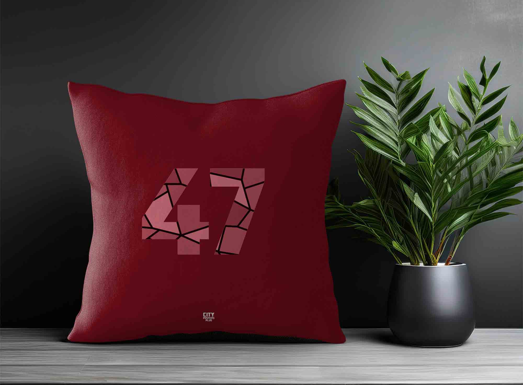 Print Deliver Plus 47 Number Square & Rectangle Pillow Cases