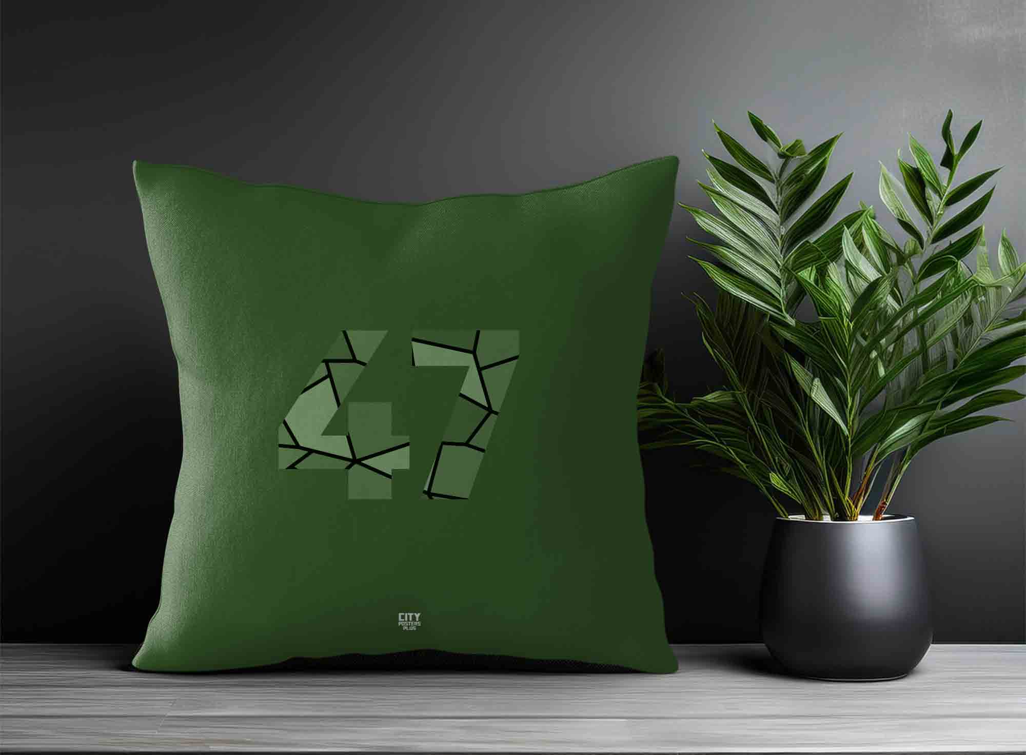 Print Deliver Plus 47 Number Square & Rectangle Pillow Cases