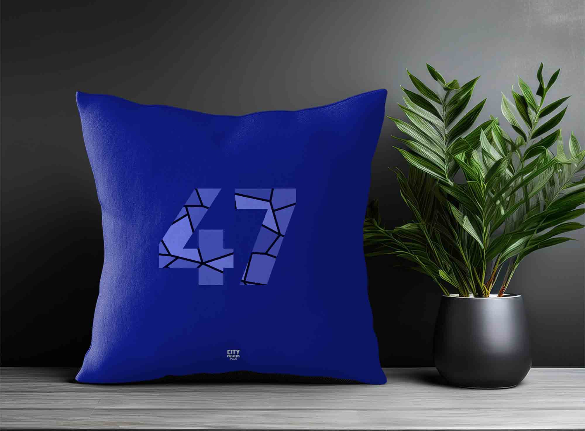Print Deliver Plus 47 Number Square & Rectangle Pillow Cases