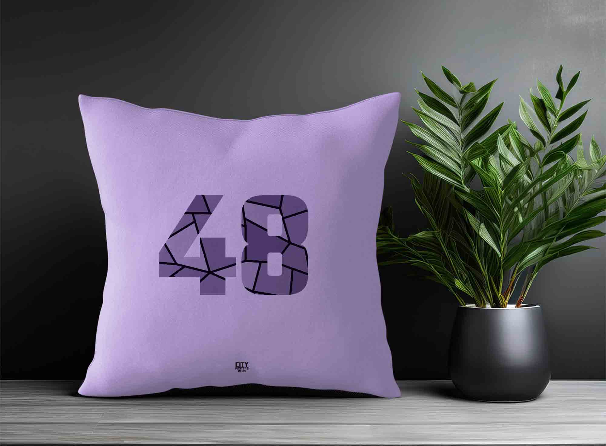 Print Deliver Plus 48 Number Square & Rectangle Pillow Cases