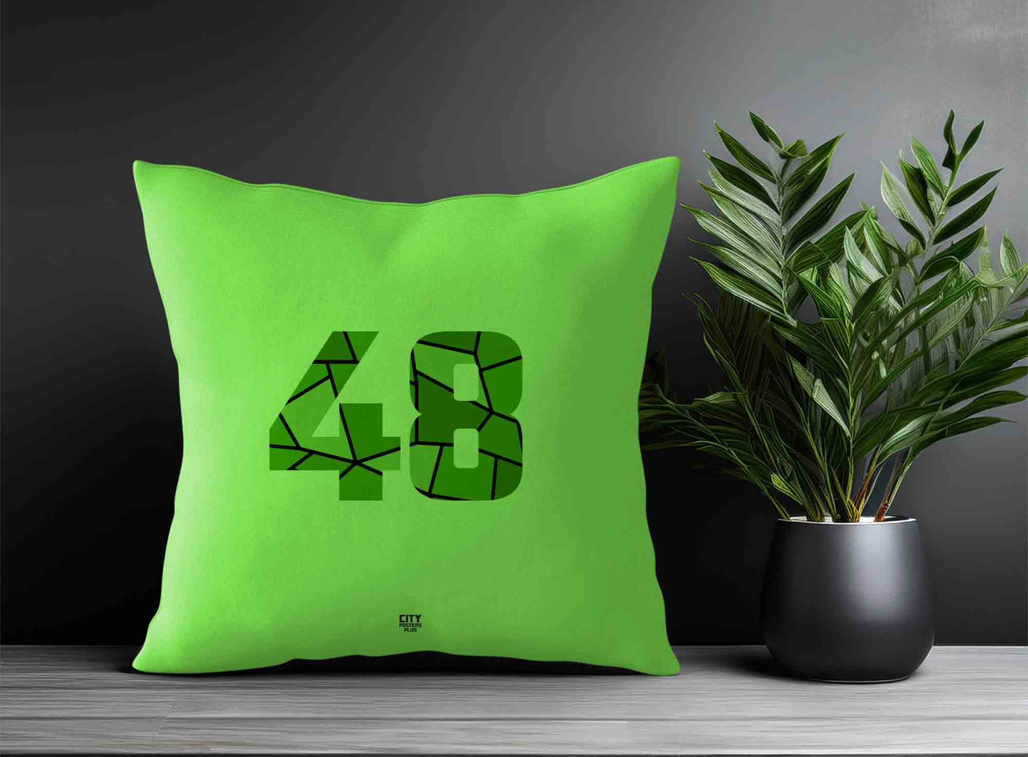 Print Deliver Plus 48 Number Square & Rectangle Pillow Cases