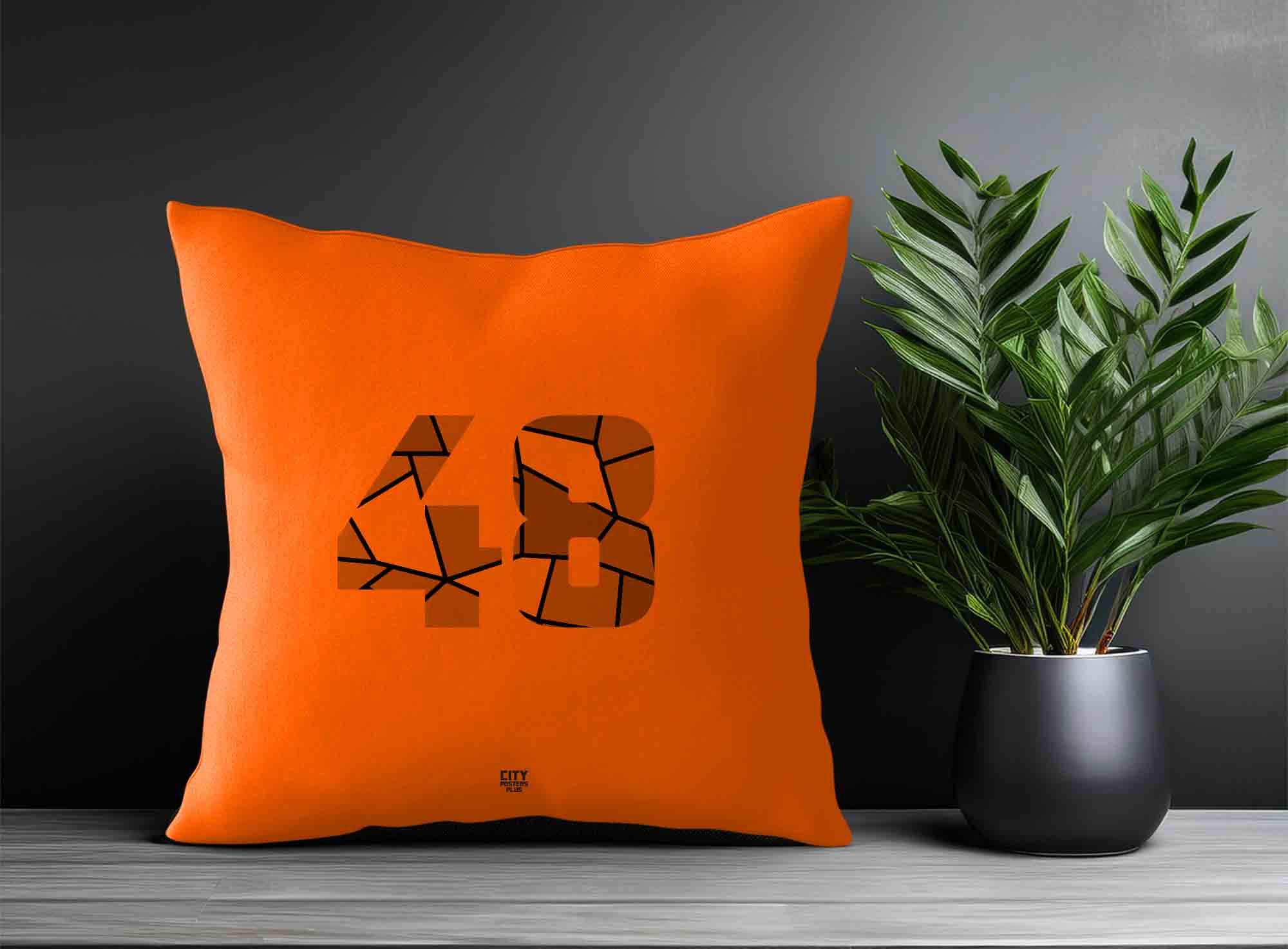 Print Deliver Plus 48 Number Square & Rectangle Pillow Cases