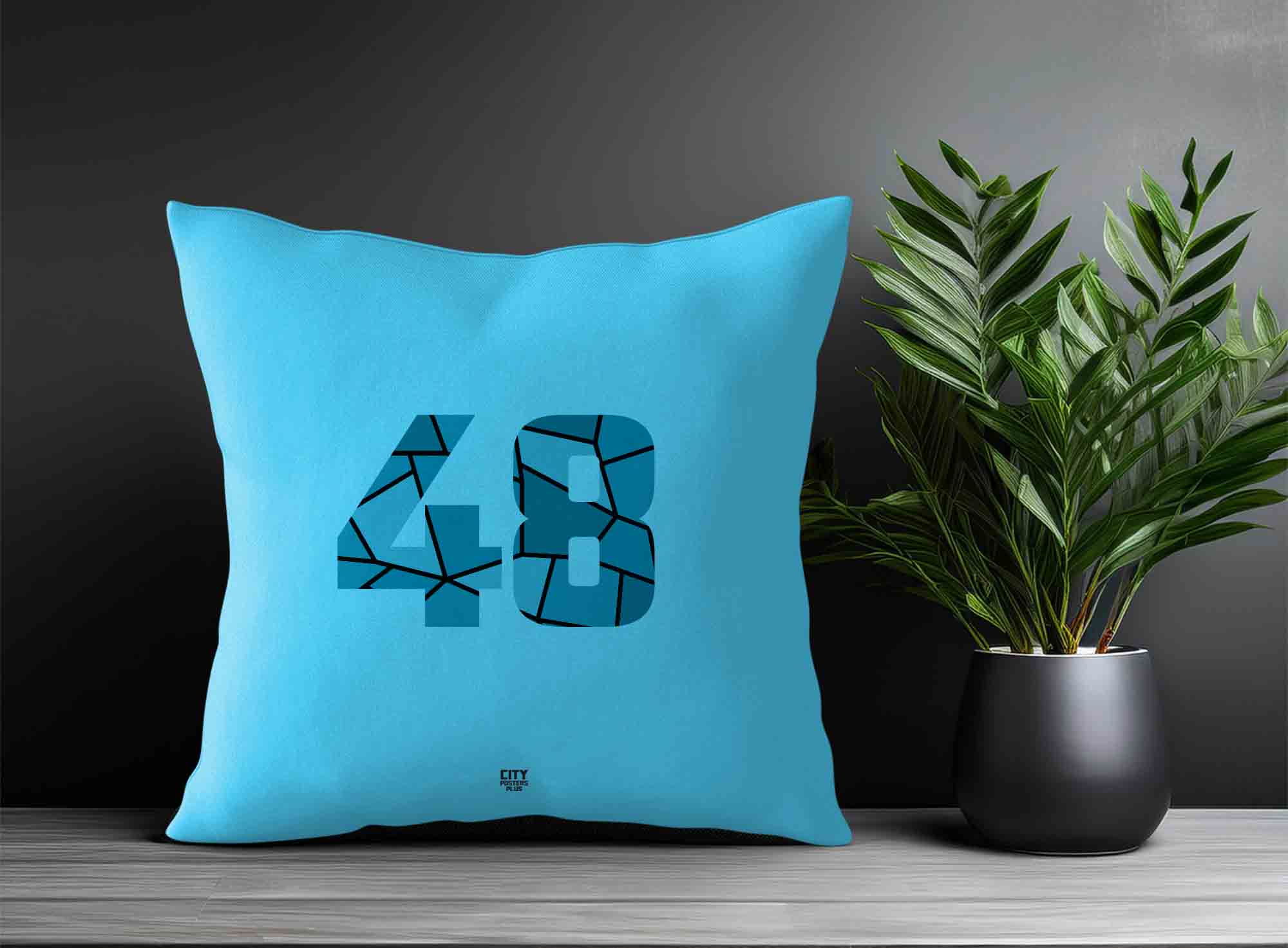 Print Deliver Plus 48 Number Square & Rectangle Pillow Cases