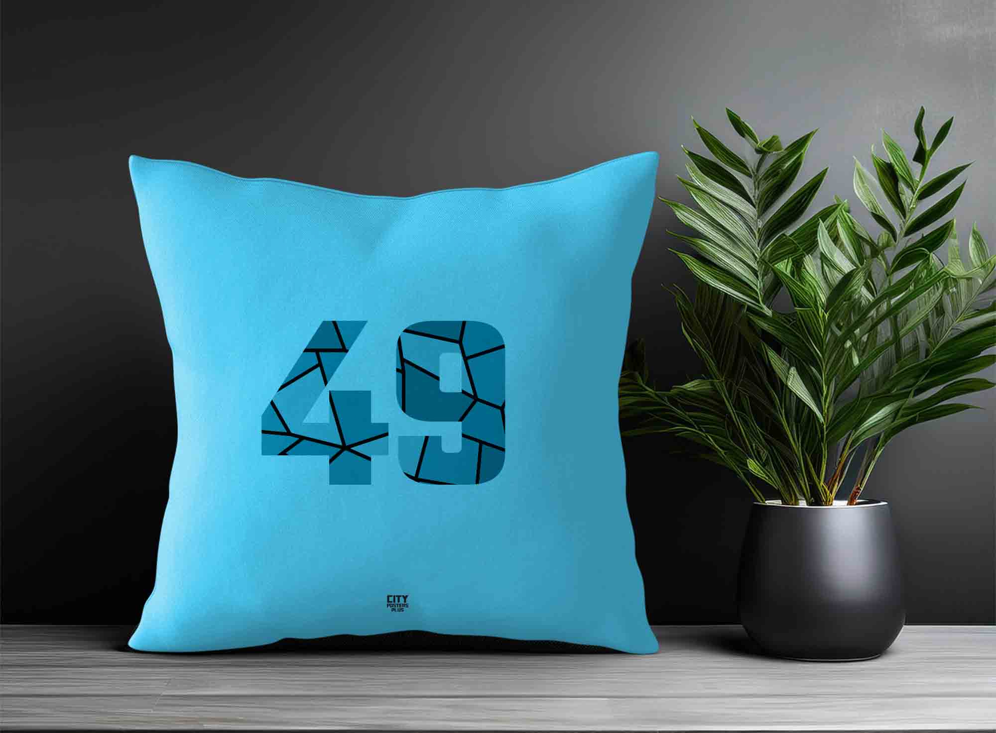 Print Deliver Plus 49 Number Square & Rectangle Pillow Cases