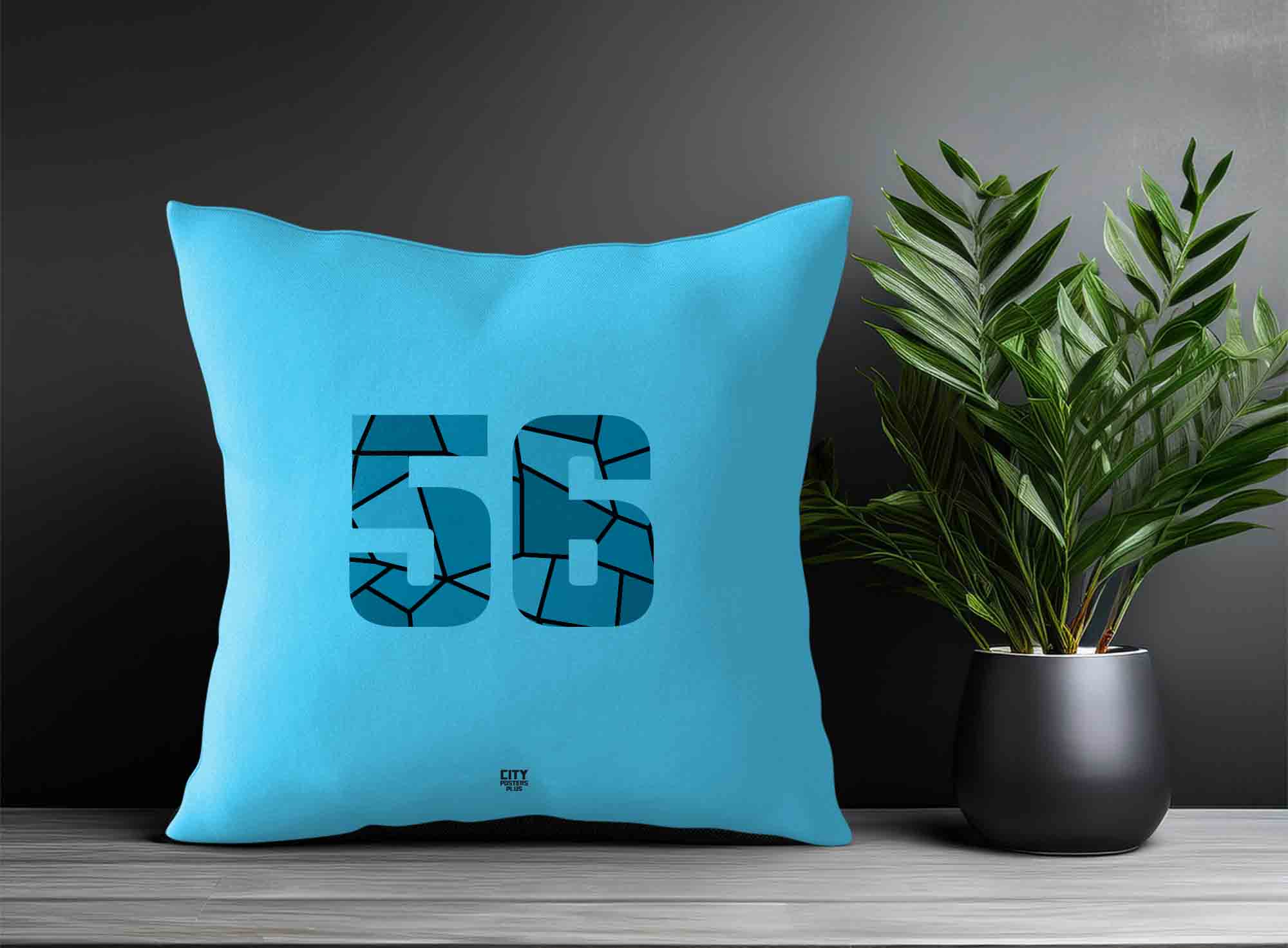 Print Deliver Plus 56 Number Square & Rectangle Pillow Cases