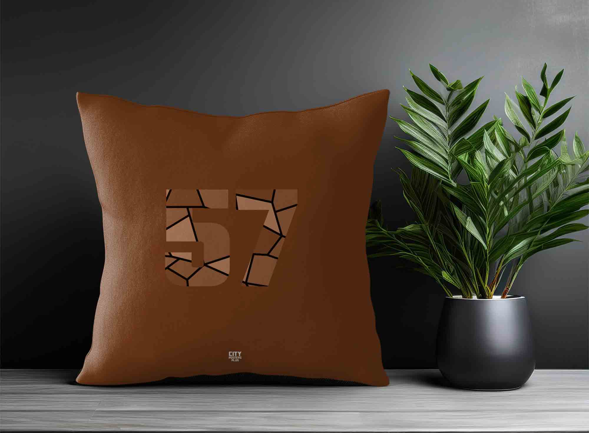 Print Deliver Plus 57 Number Square & Rectangle Pillow Cases