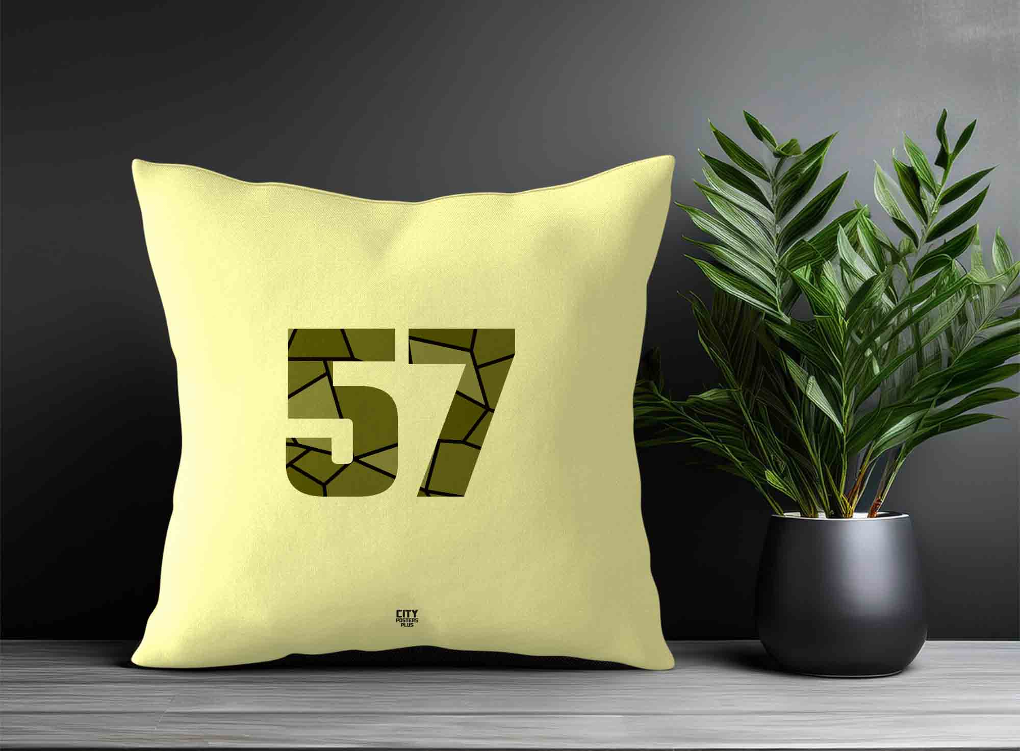 Print Deliver Plus 57 Number Square & Rectangle Pillow Cases