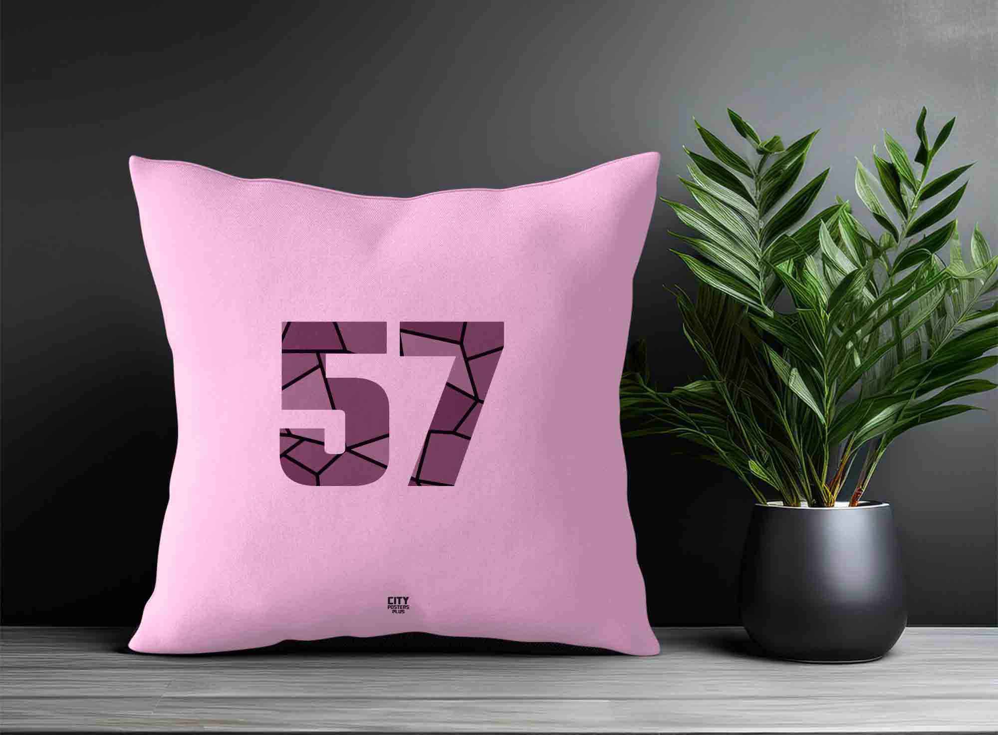 Print Deliver Plus 57 Number Square & Rectangle Pillow Cases