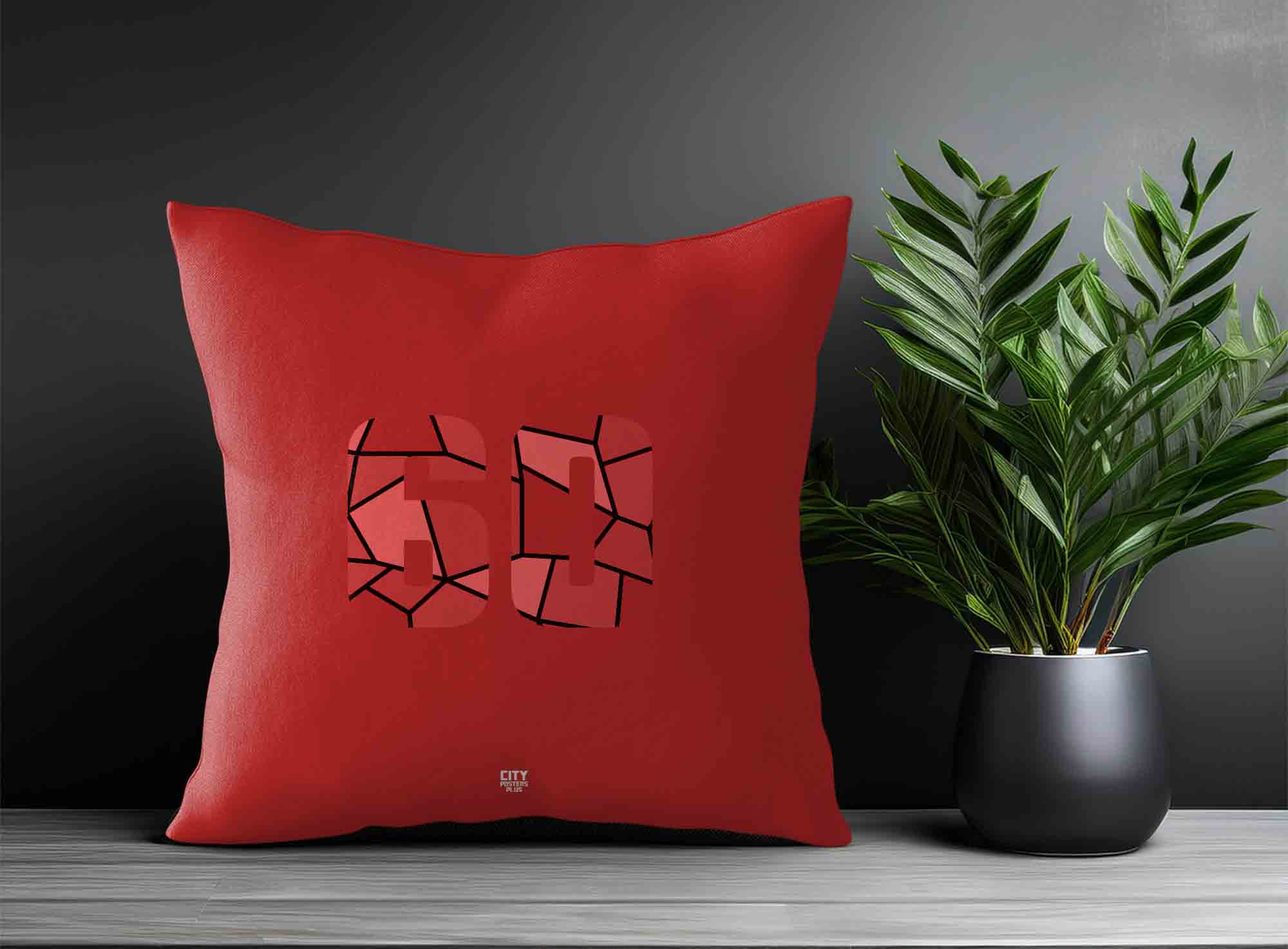 Print Deliver Plus 60 Number Square & Rectangle Pillow Cases