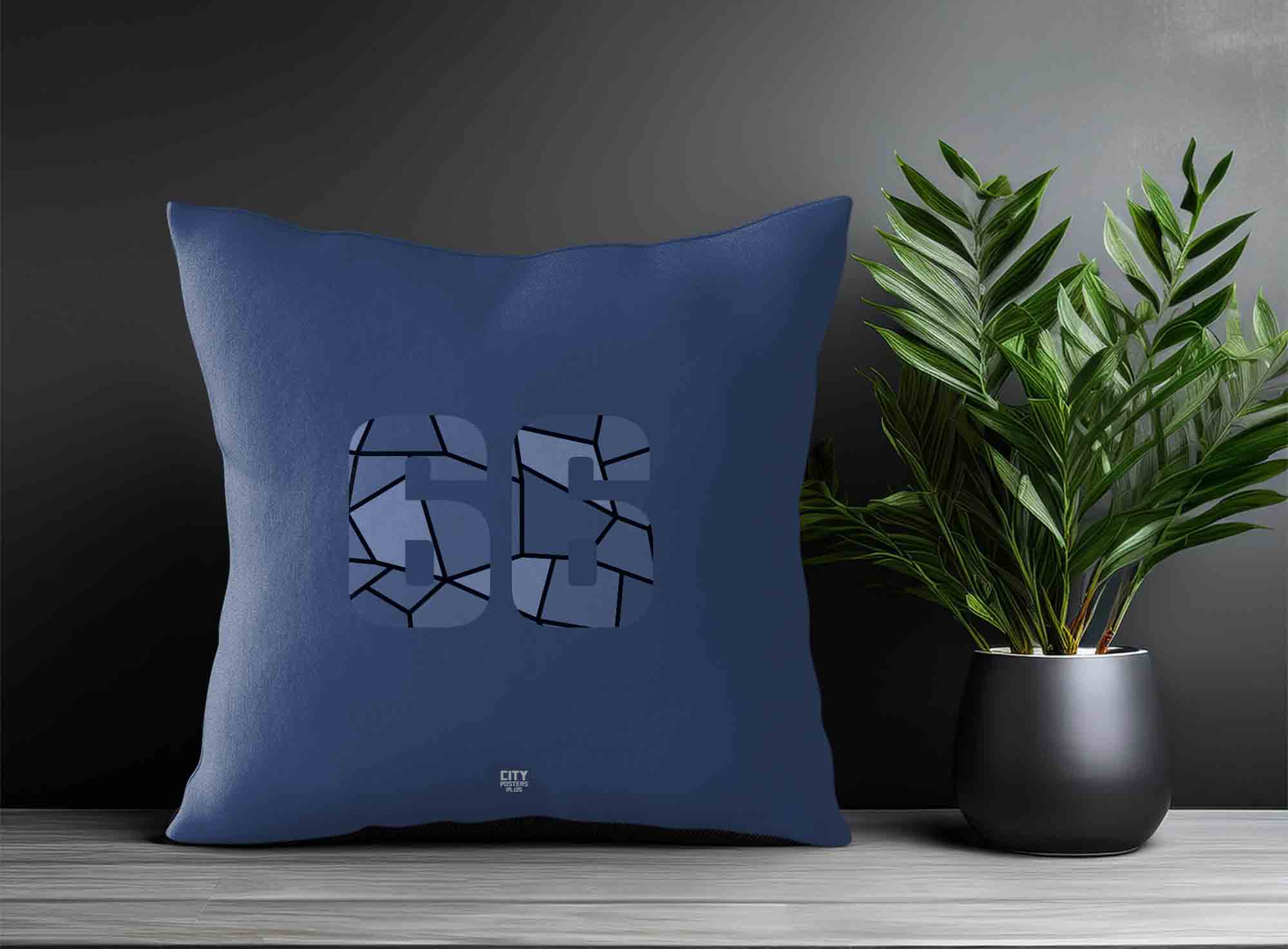 Print Deliver Plus 66 Number Square & Rectangle Pillow Cases