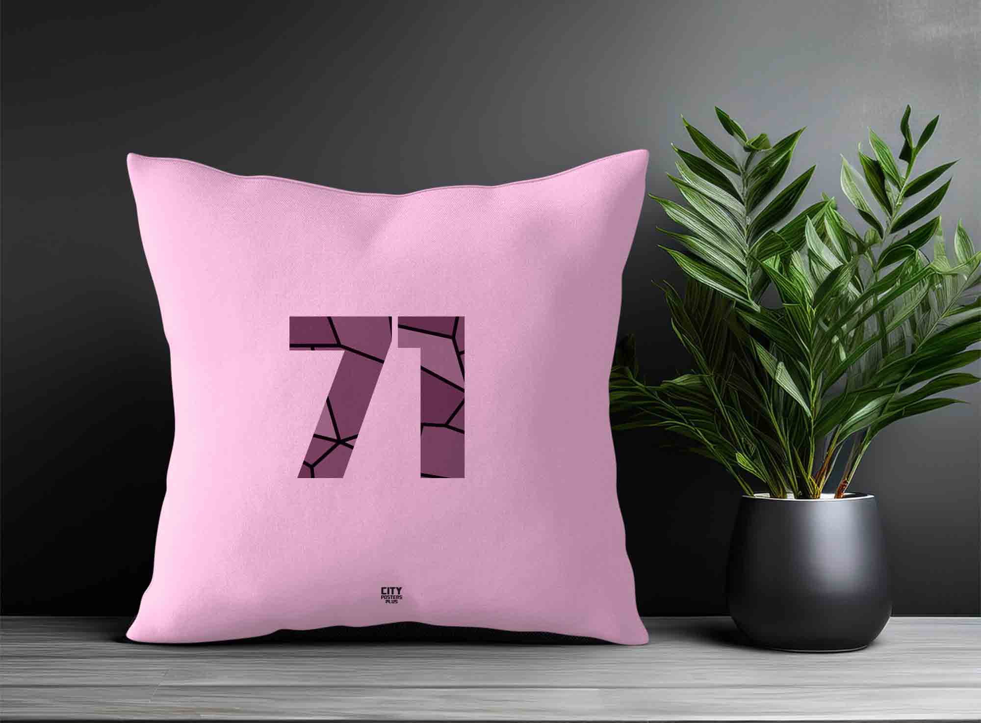 Print Deliver Plus 71 Number Square & Rectangle Pillow Cases
