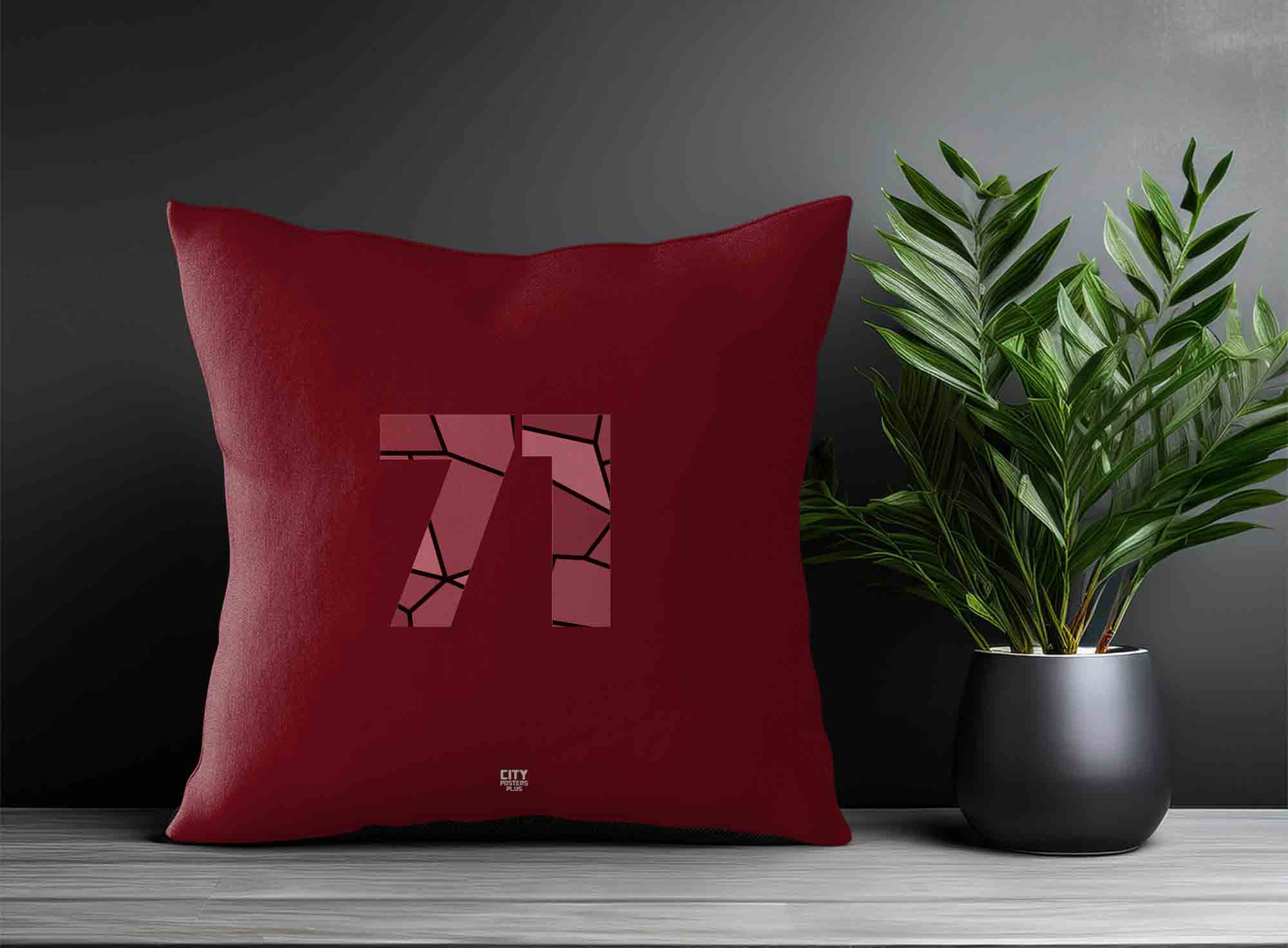 Print Deliver Plus 71 Number Square & Rectangle Pillow Cases