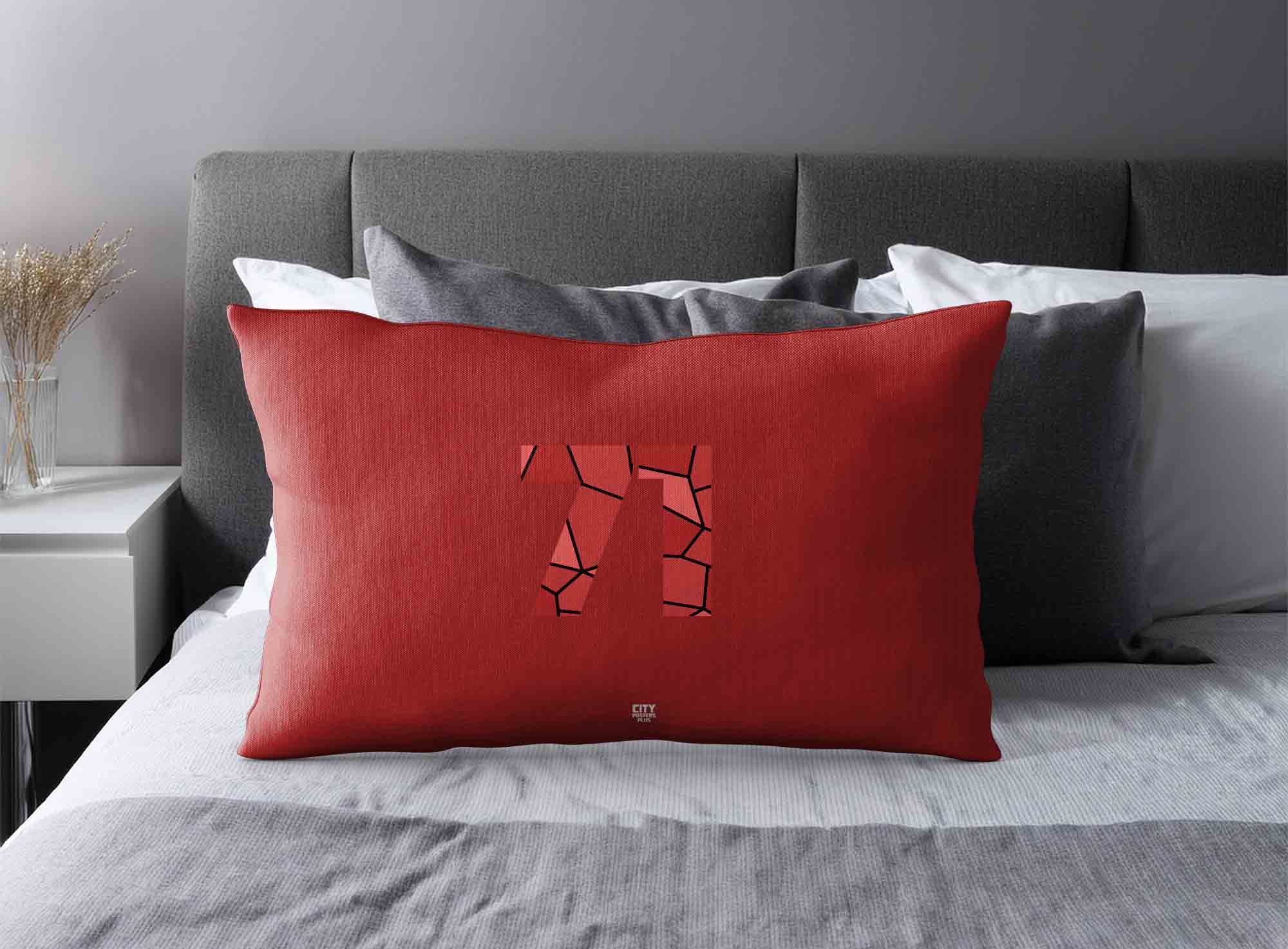 Print Deliver Plus 71 Number Square & Rectangle Pillow Cases image 2