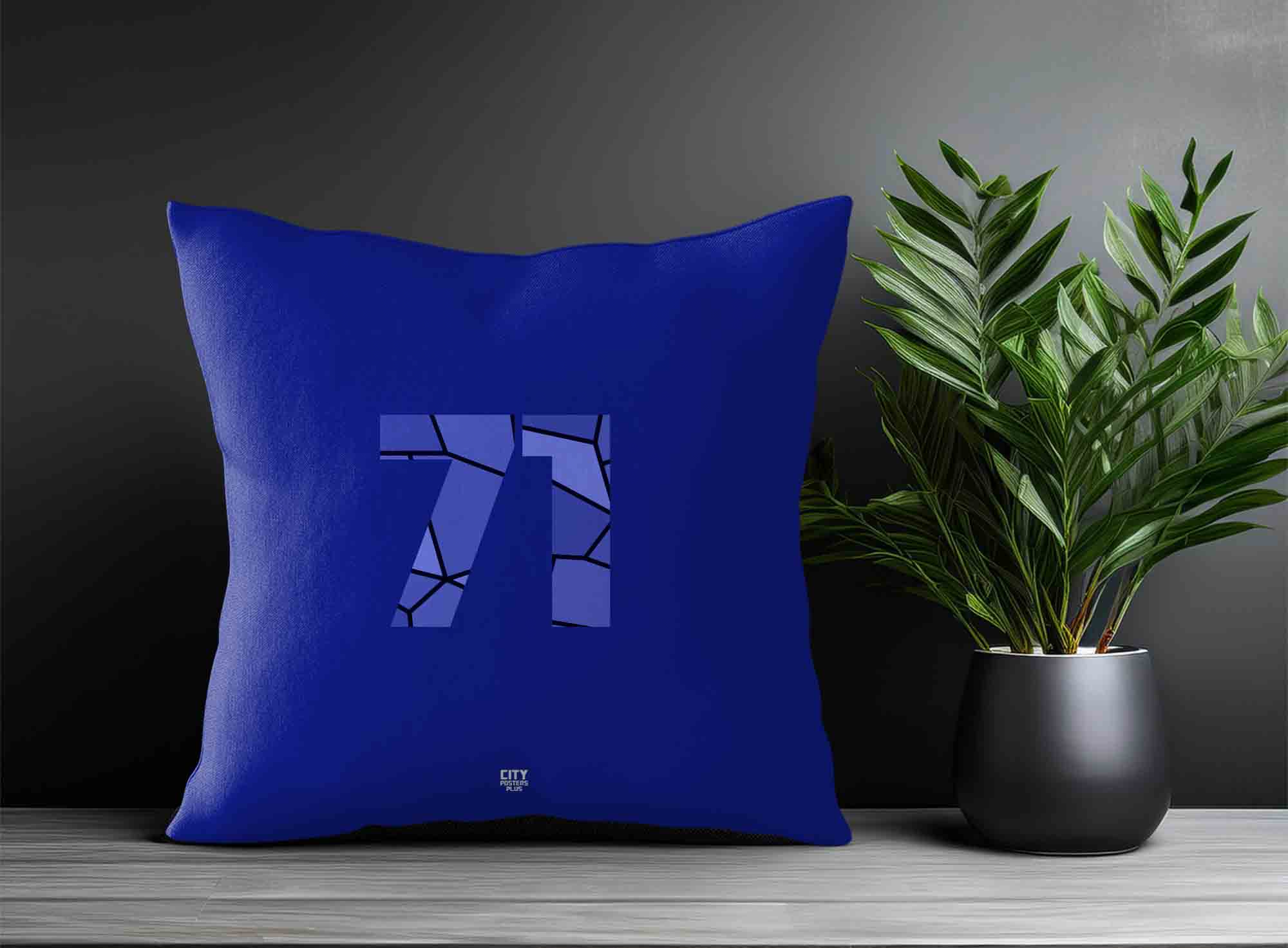 Print Deliver Plus 71 Number Square & Rectangle Pillow Cases