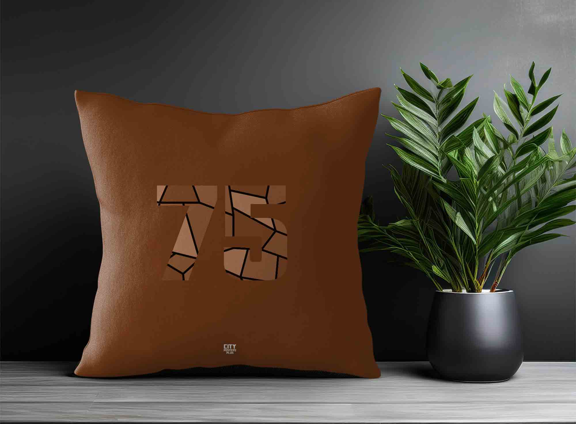Print Deliver Plus 75 Number Square & Rectangle Pillow Cases